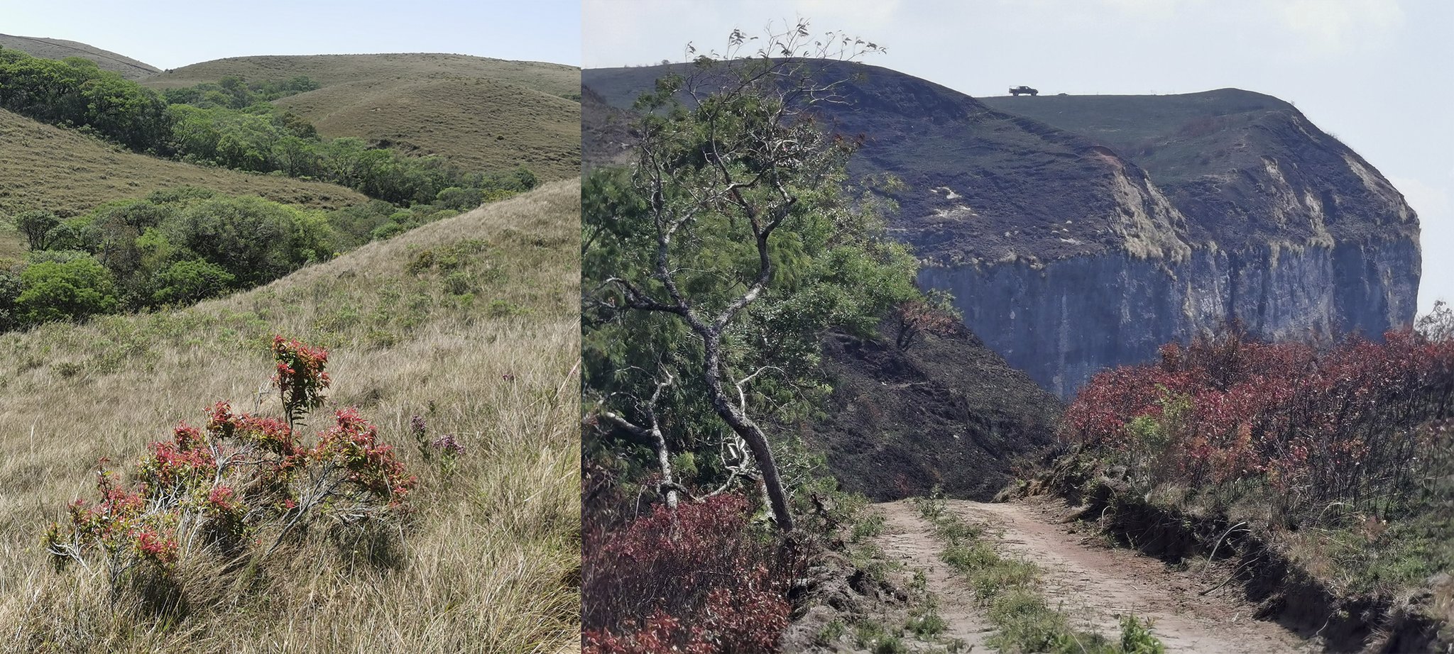 Wir haben viele malerische Landschaften  