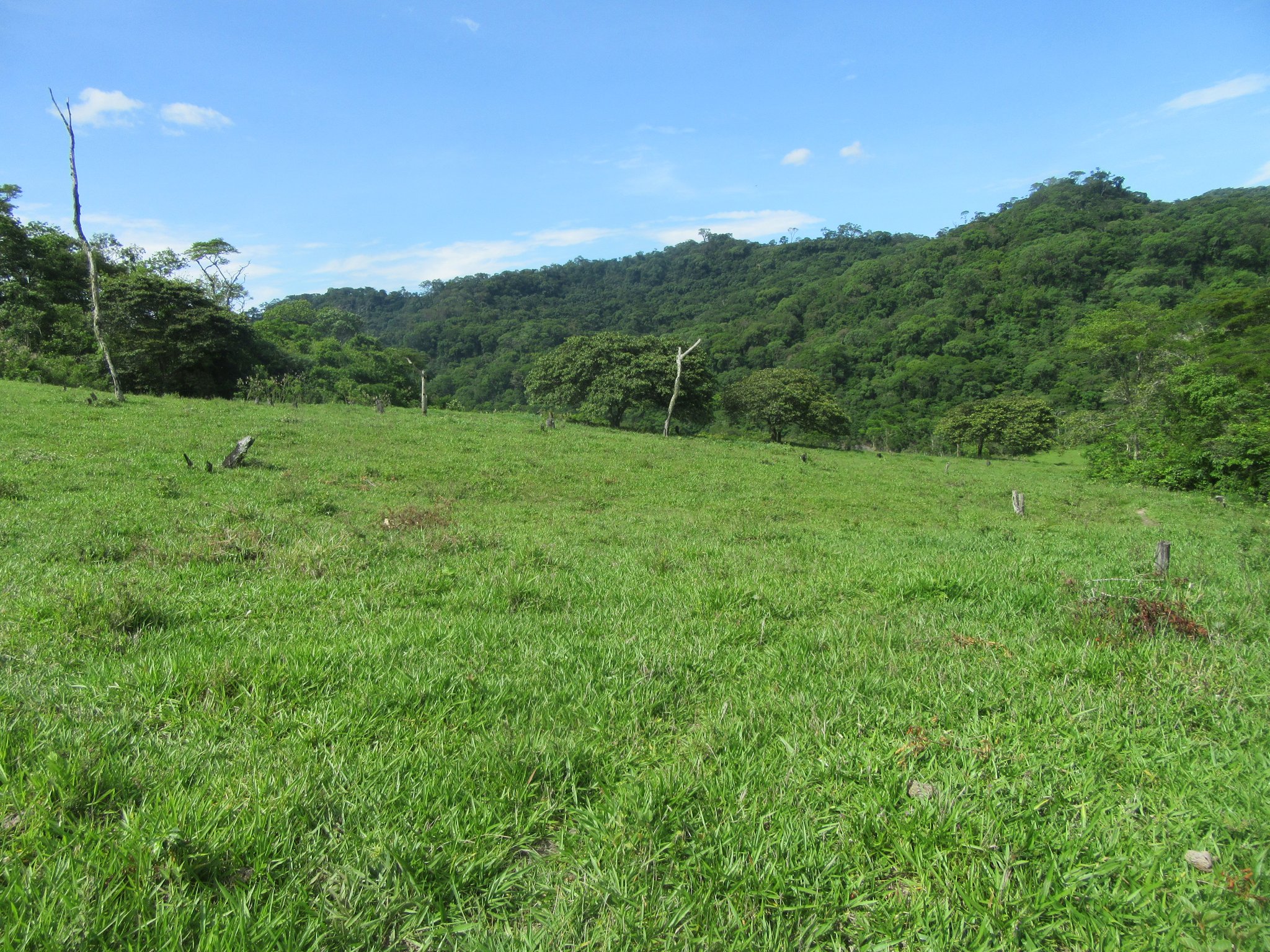 Der Boden besteht aus guter, nicht degradierter Erde