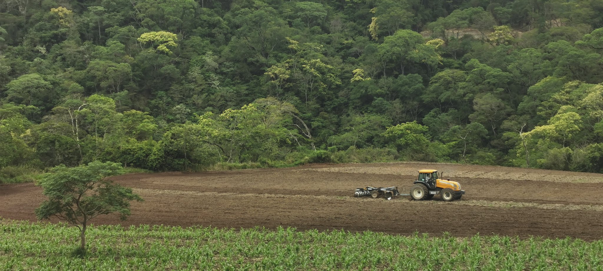 Einer unserer Traktoren im landwirtschaftlichen Bereich 