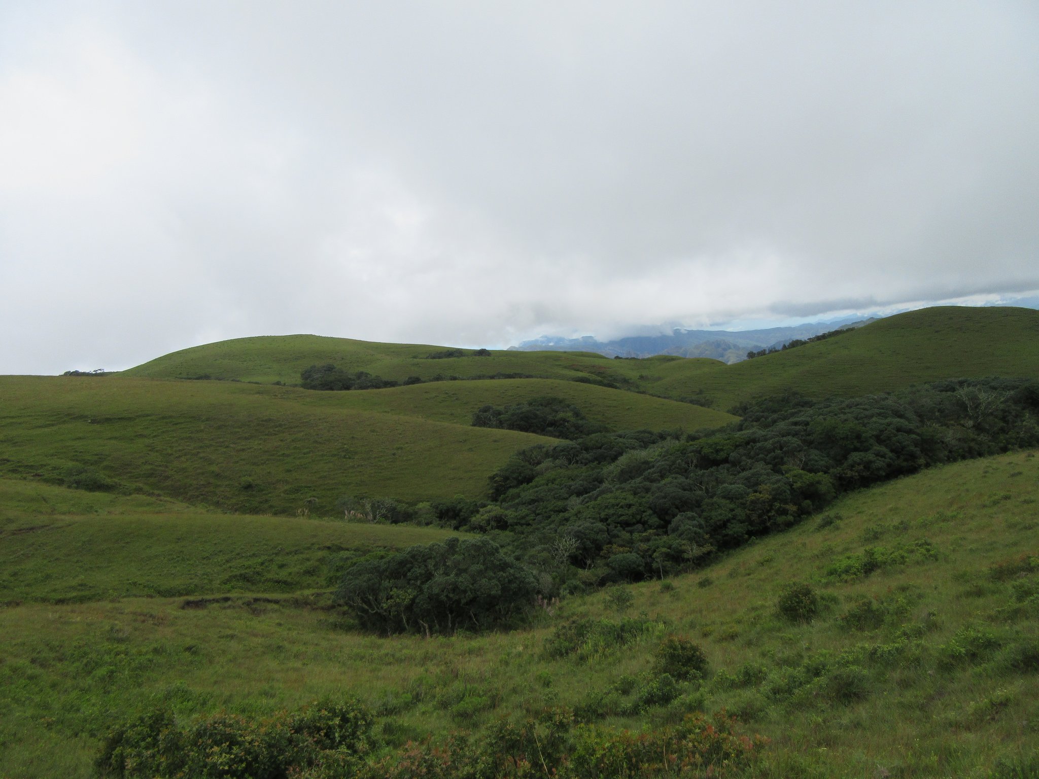 Das Landschaftsbild unseres Zufluchtsorts ist vielseitig und abwechslungsreich