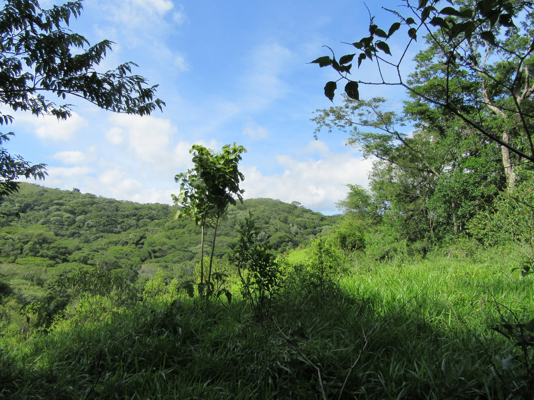Unser Hochplateau ist teilweise hügelig und subtropisch bewachsen