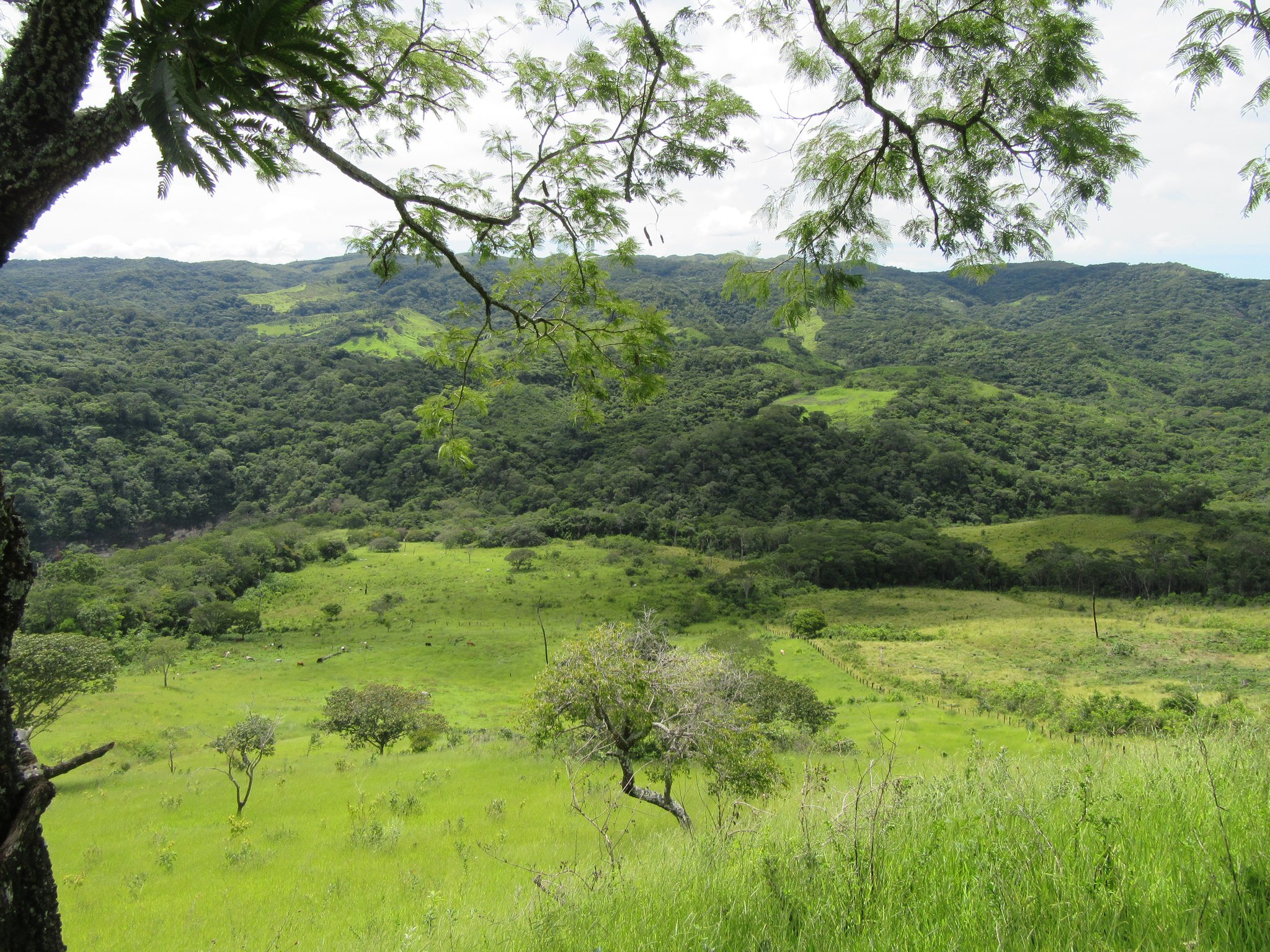Hier ein Panoramablick von der Einfahrt zum strategischen Hochplateau unseres Zufluchtsorts