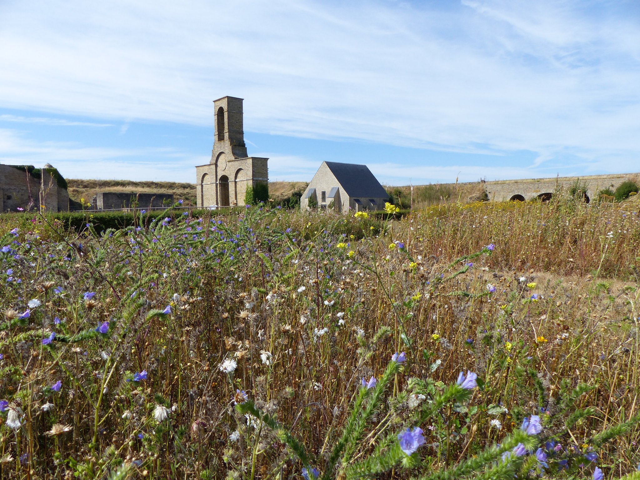 prairie fleurie au Vieux-Fort