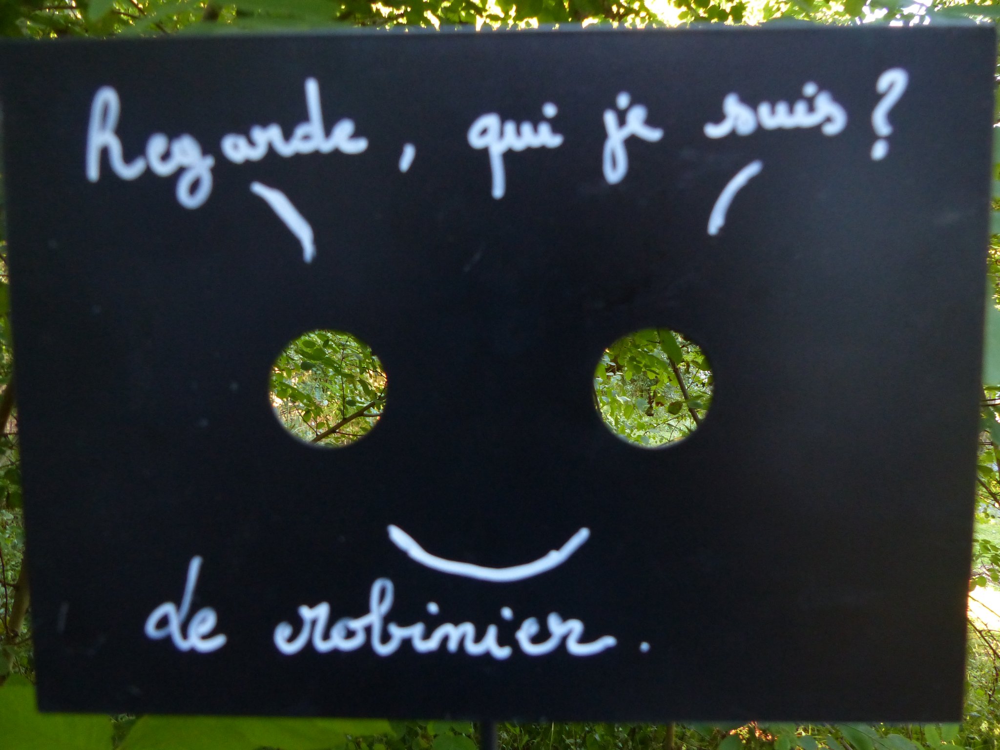 art et environnement au jardin botanique