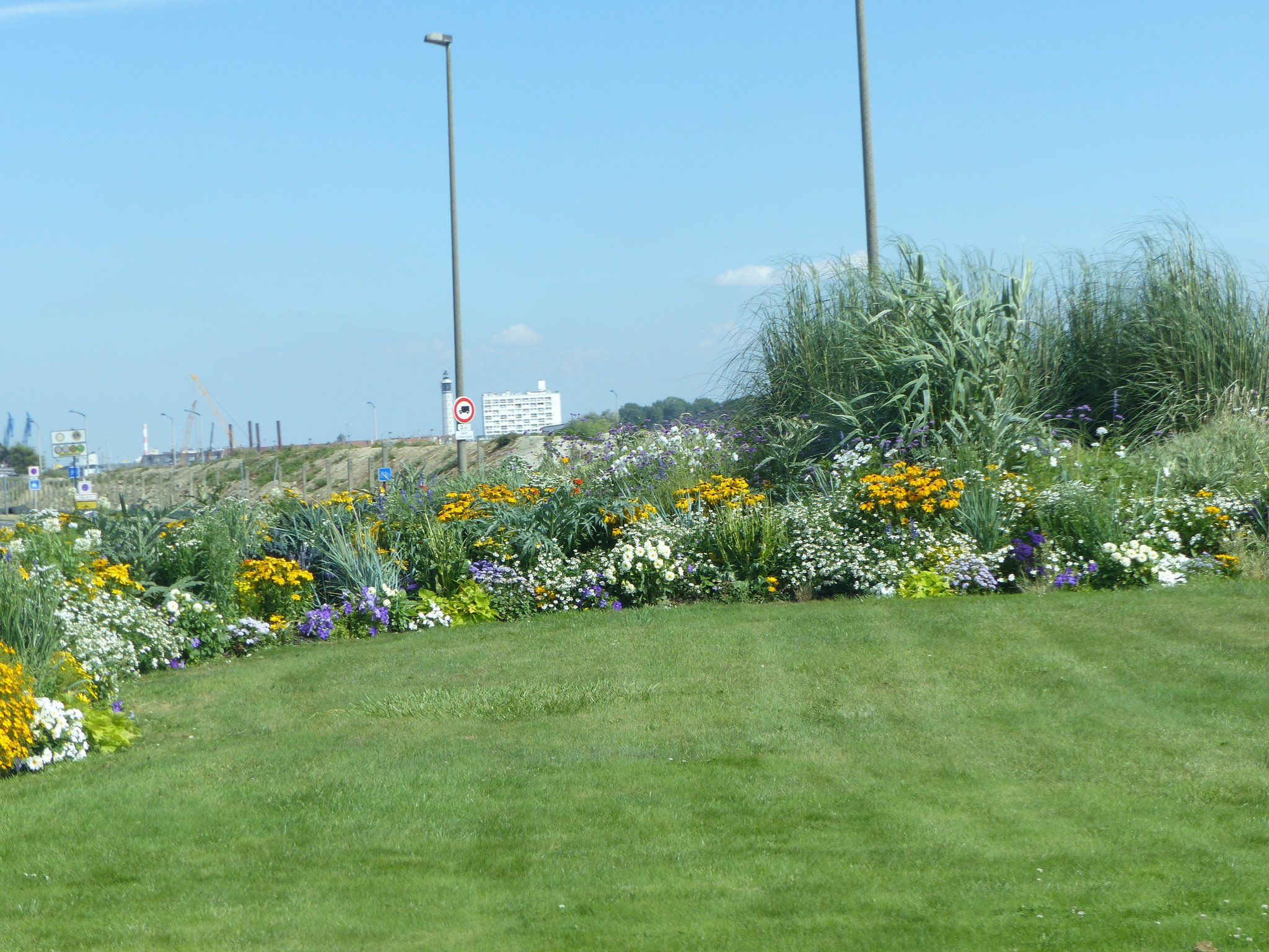 Fleurissement d'un giratoire