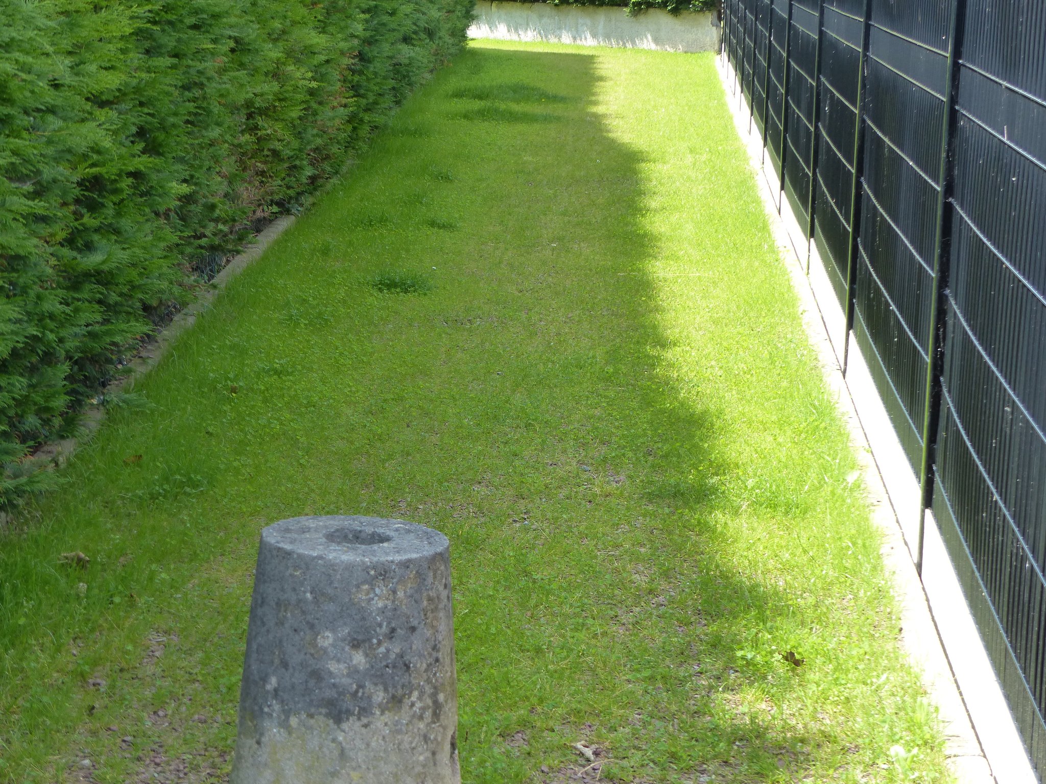 Sailly-Sur-La-Lys, la nature gagne du terrain !