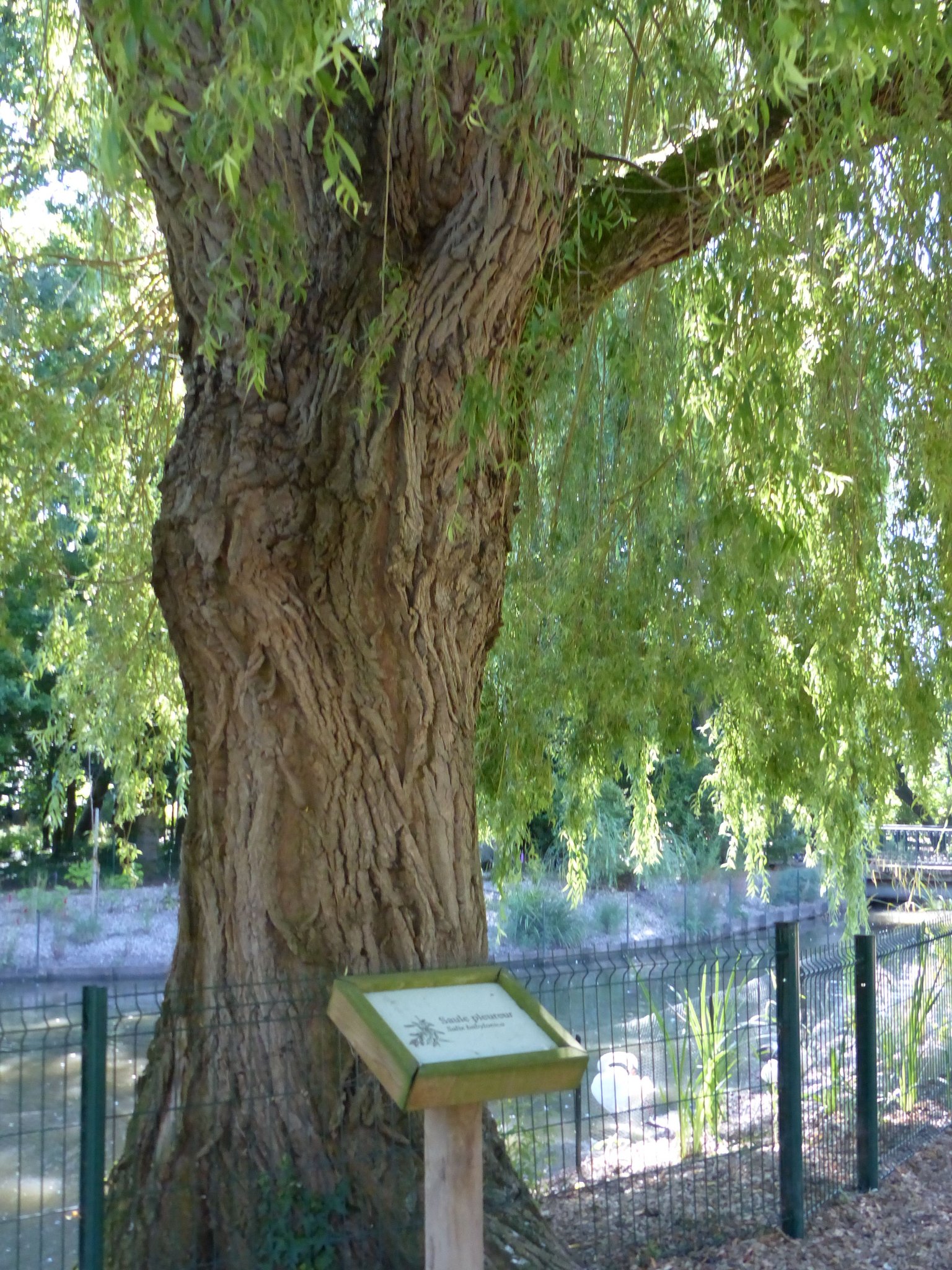 Panneau informatif, Hazebrouck