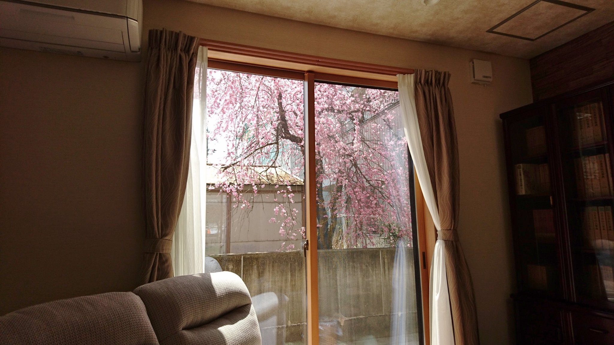 リビングからの桜 １