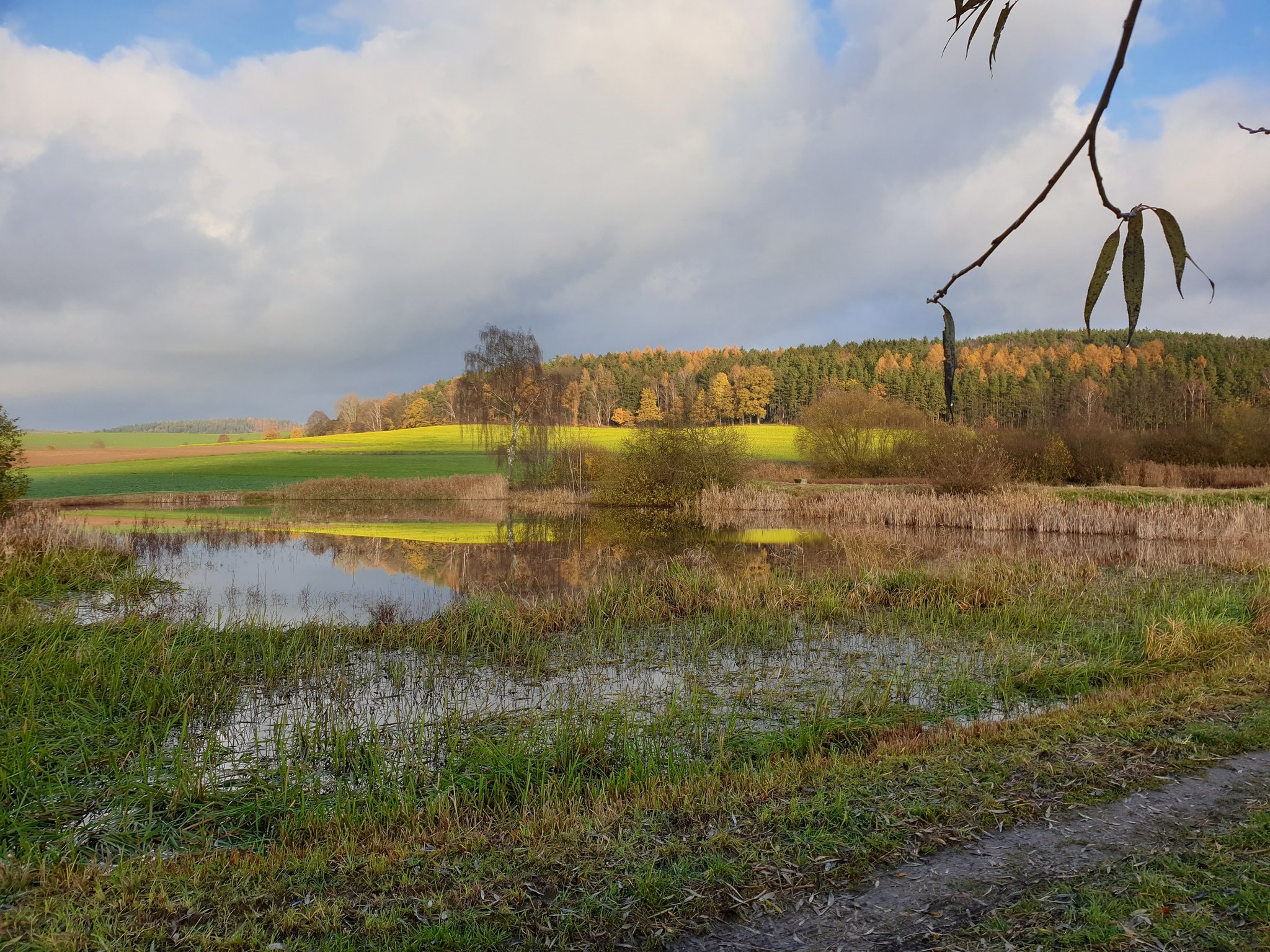 Extensiv bewirtschafteter Teich (Foto: Götte)