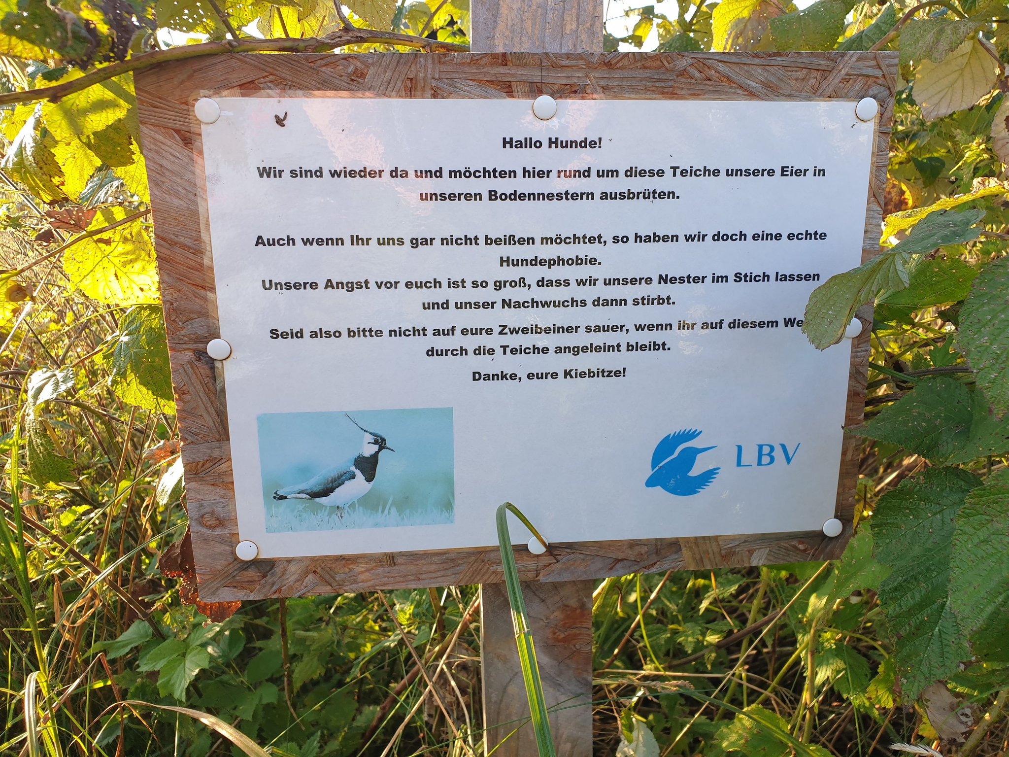 Hunde bitte anleinen! (Foto: Götte)