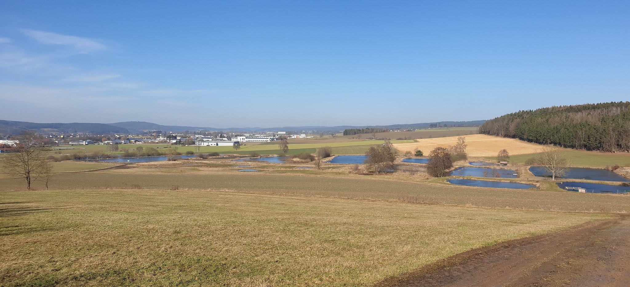 Blick auf die Langwiedteiche (Foto: Götte)