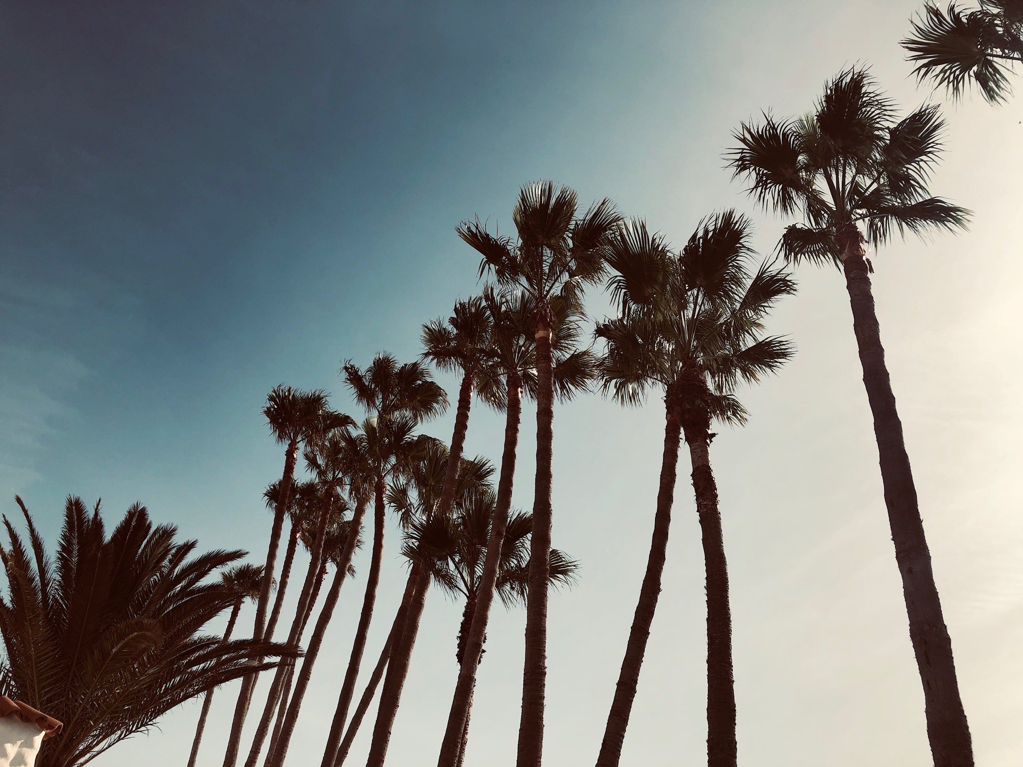 SKYLINE BEI DEN BUNGALOWS