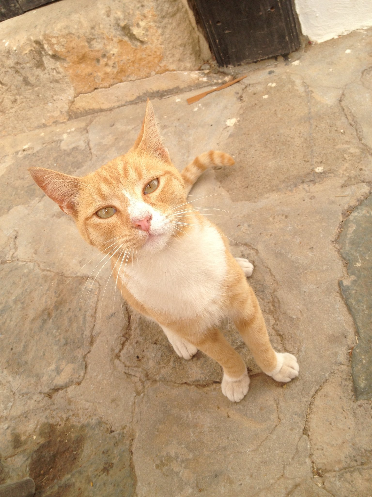 LA PRINCESA DE BETANCURIA