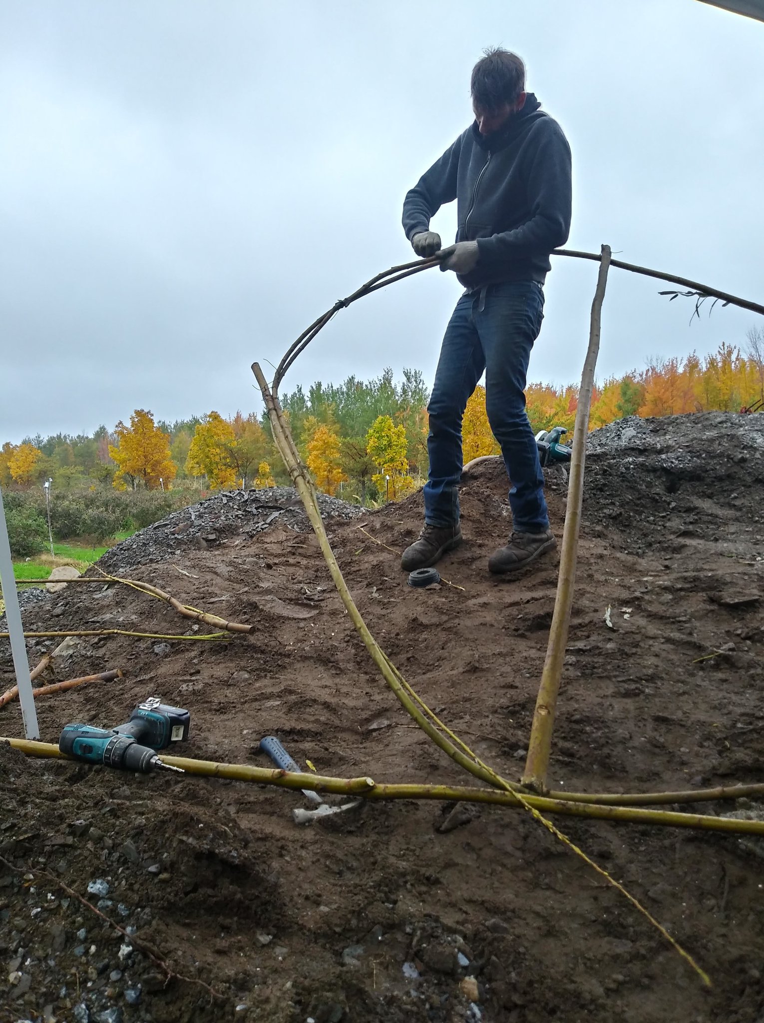Construction de la structure de l'oeuvre