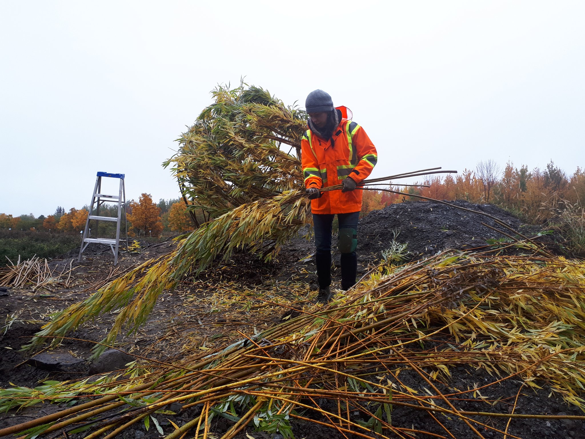 Melsa Montagne, ma complice