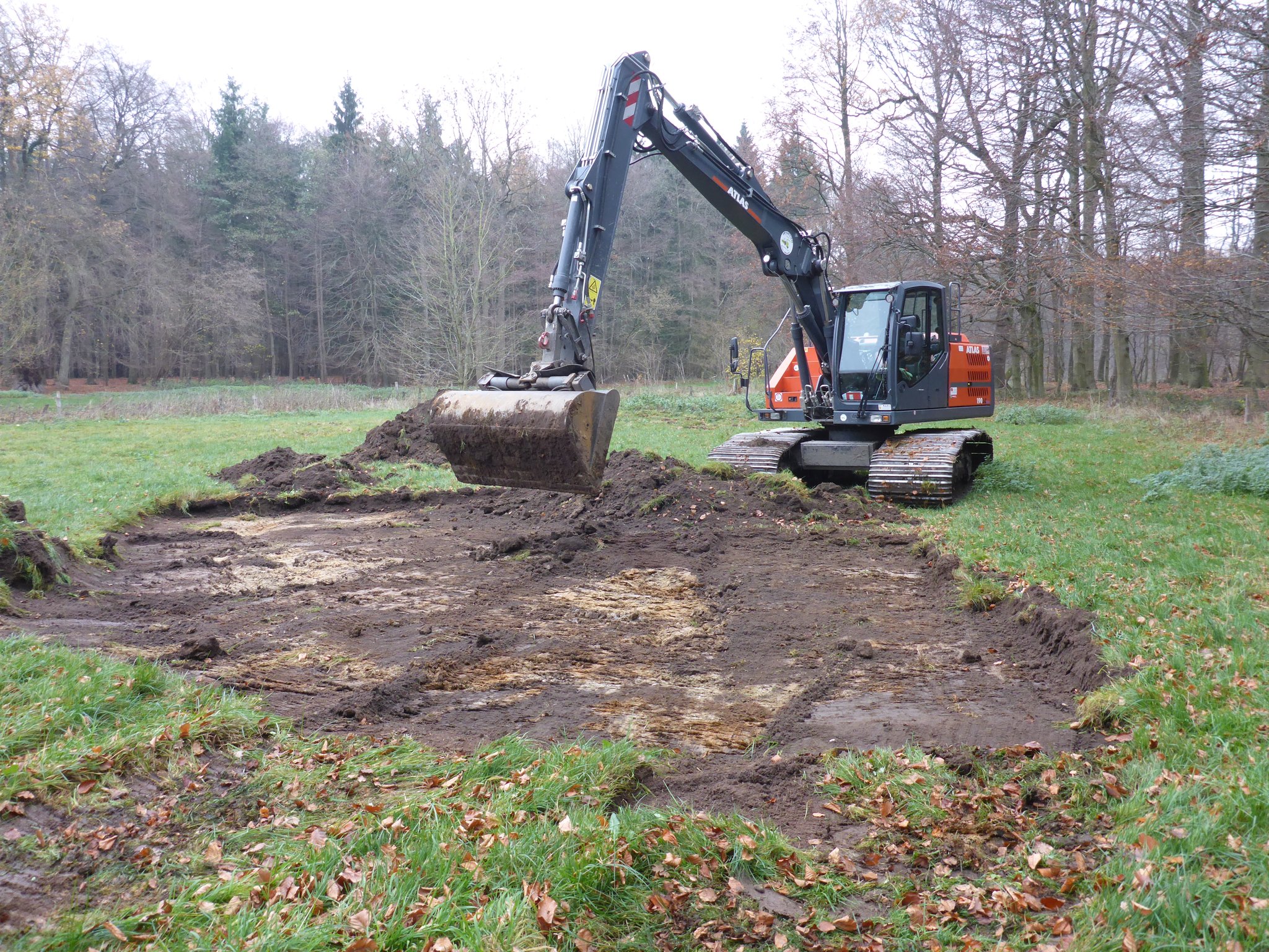 Beginn des Baus eines Kammmolch-Gewässers im Herbst 2018.