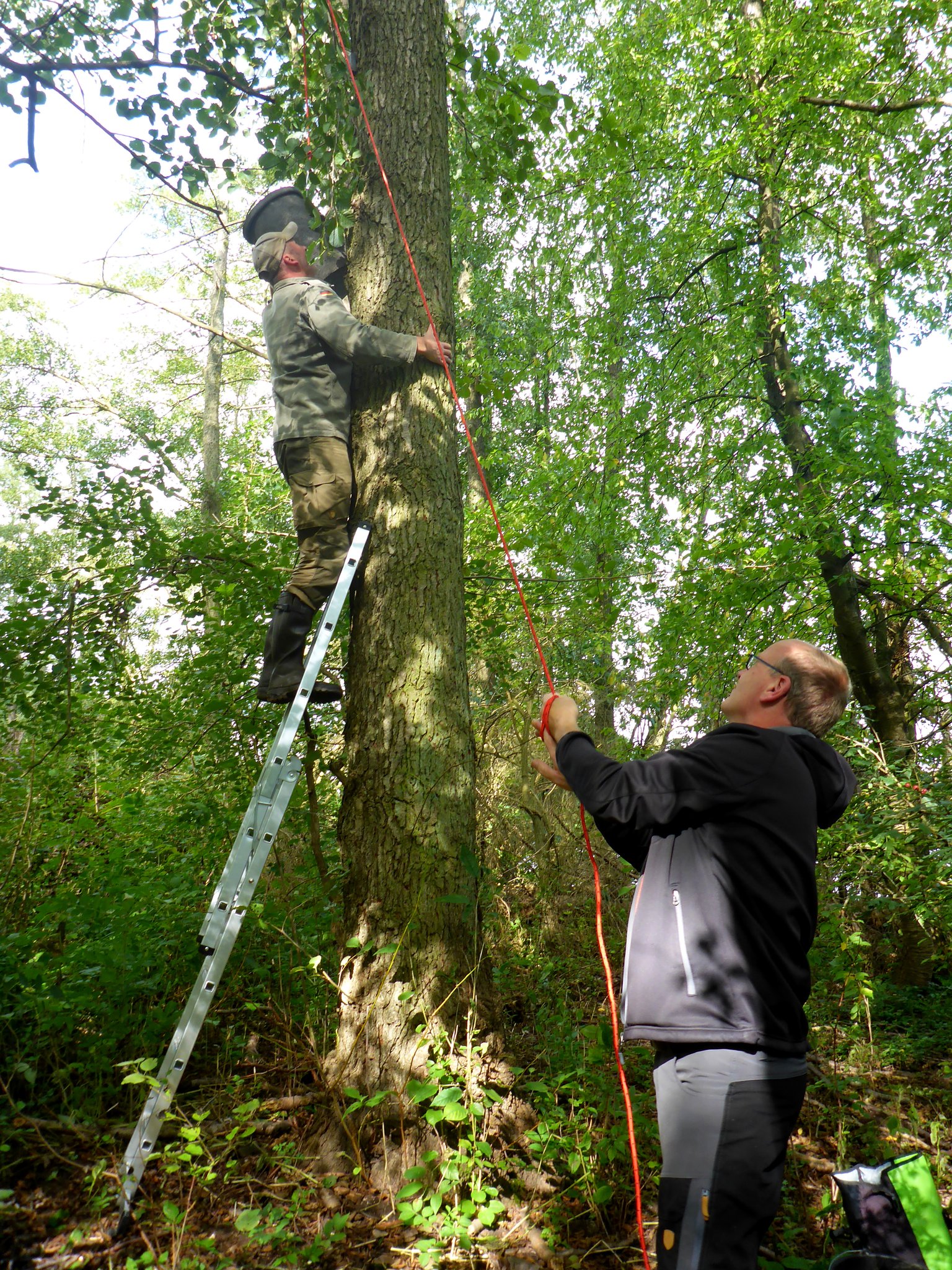 Mit einem Flaschenzug wurden die schweren Kästen nach Oben gezogen und befestigt.