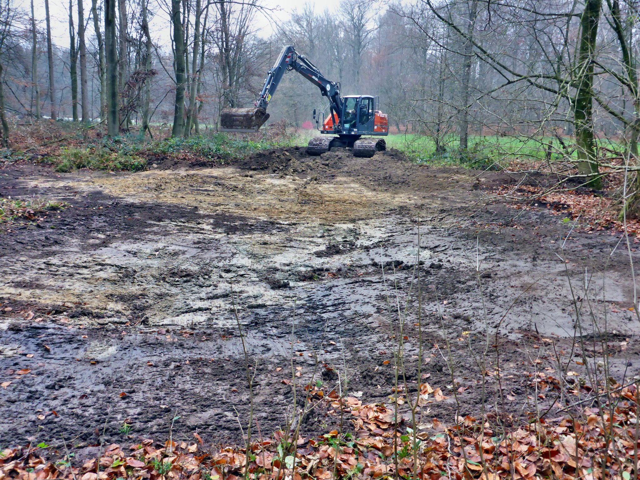 Entschlammung eines kleinen Waldgewässers ...