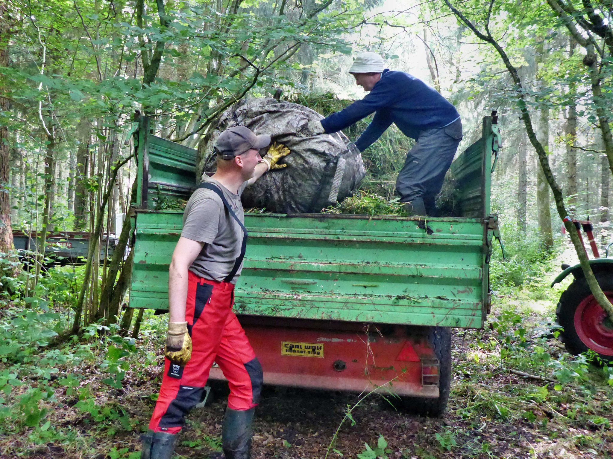 ... und der Inhalt auf den bereit stehenden Anhänger verladen.