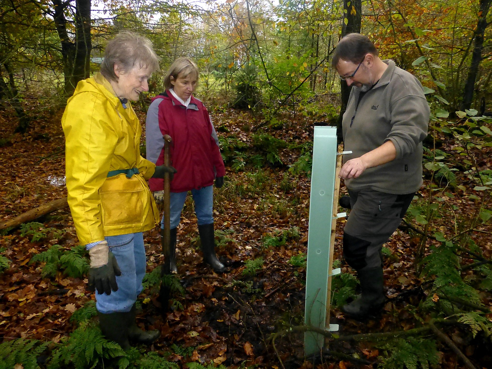 Pflanzaktion in den Auwaldbereichen zum 'Baum des Jahres 2019' - der Flatterulme.