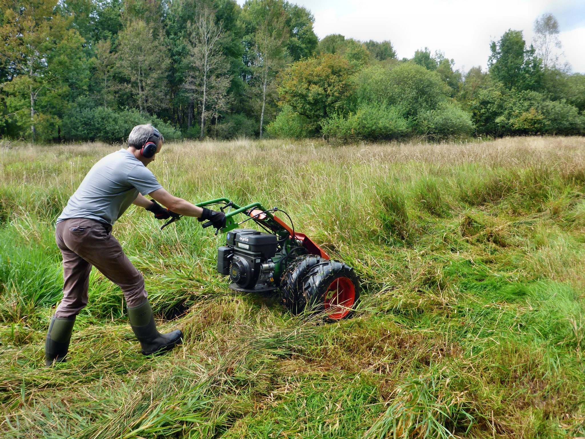 Anfang September: Mahd mit dem Balkenmäher mit freundlicher Hilfe des Unanhängigen Kuratoriums Landschaft Schleswig-Holstein. Danke!