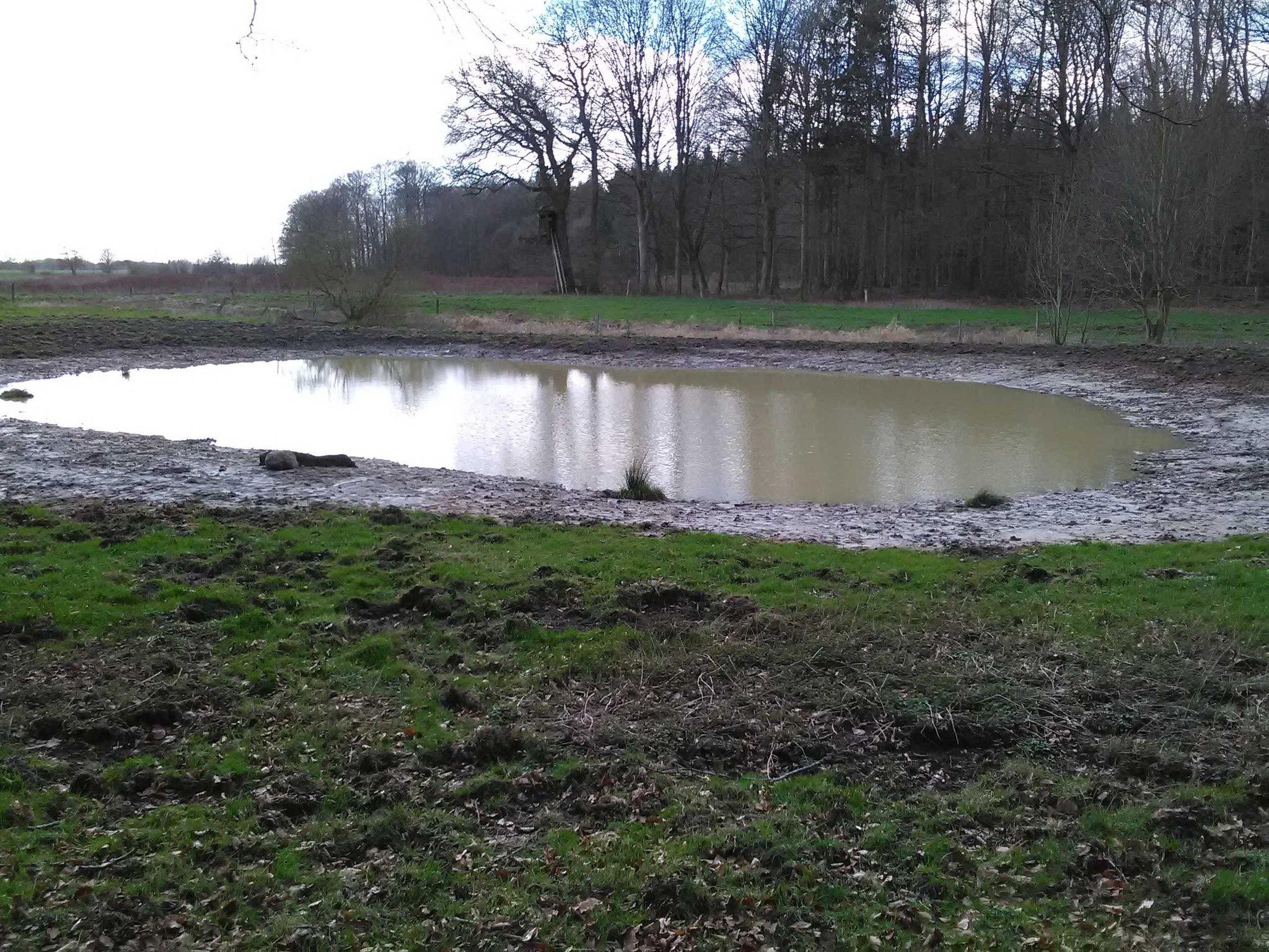 ... die sich bald schon mit Regenwasser füllte.
