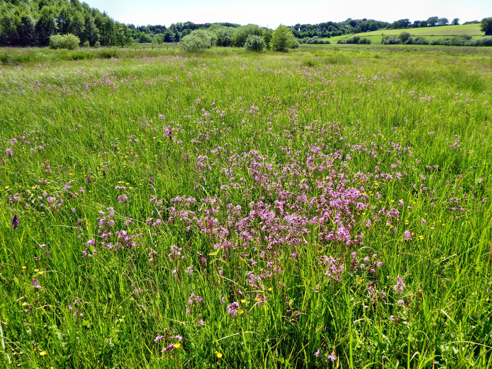 2017: Der Erfolg ist deutlich sichtbar.