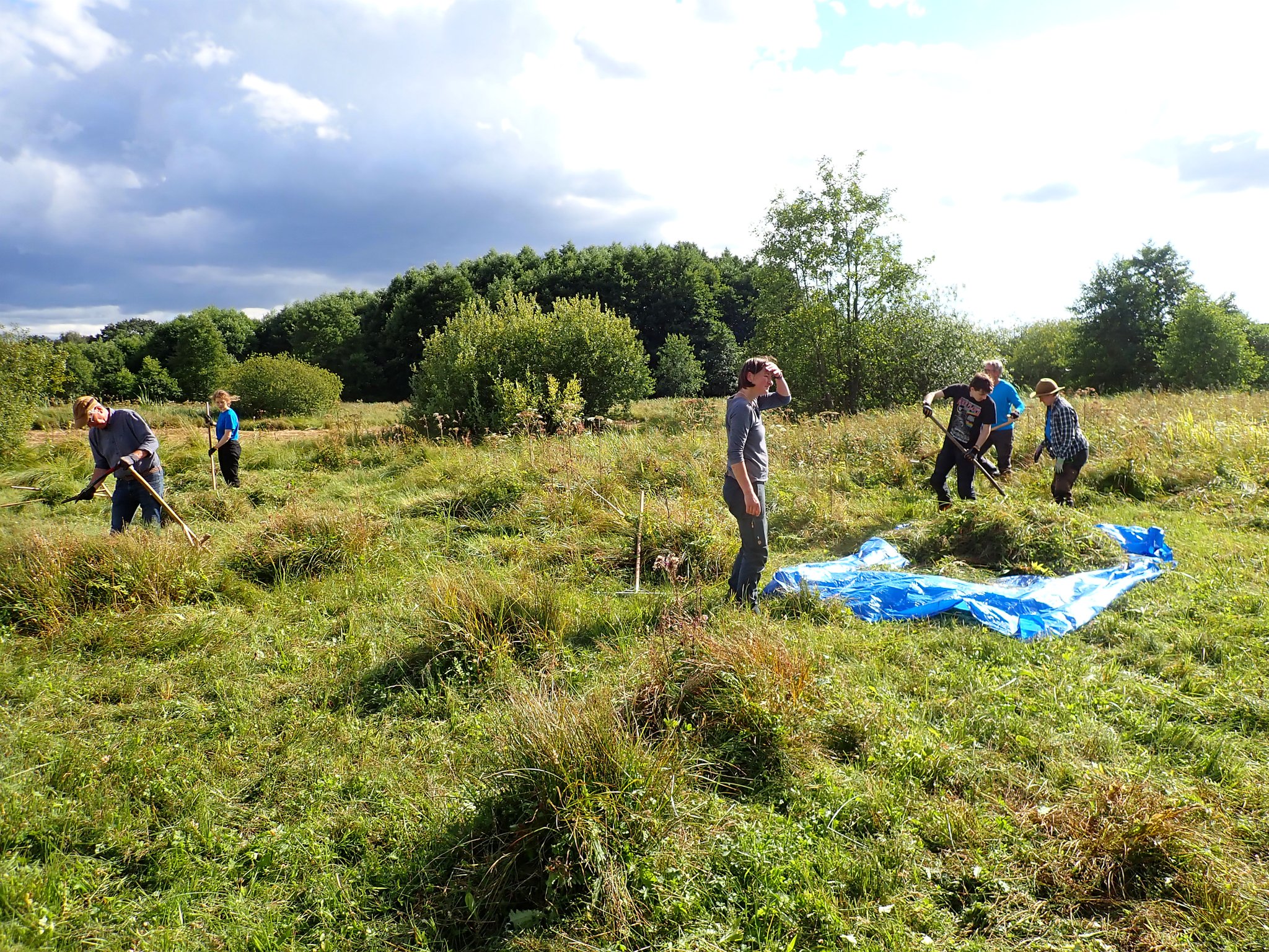 "Viele Hände machen der Arbeit schnell ein Ende."