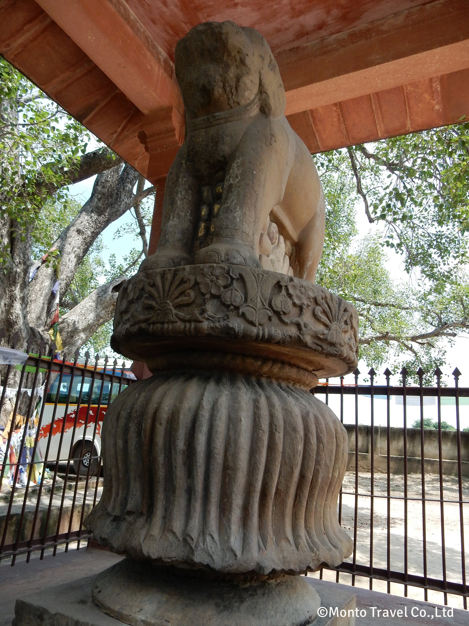 アショーカ王柱象柱頭(サンカーシャー)