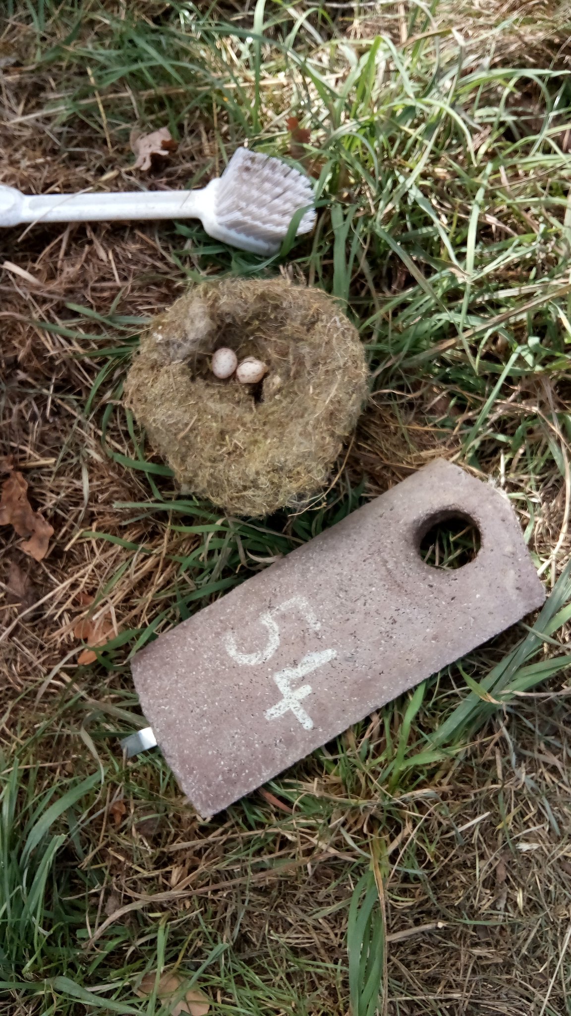 Nistkastenkontrolle, Foto: M. Ruland