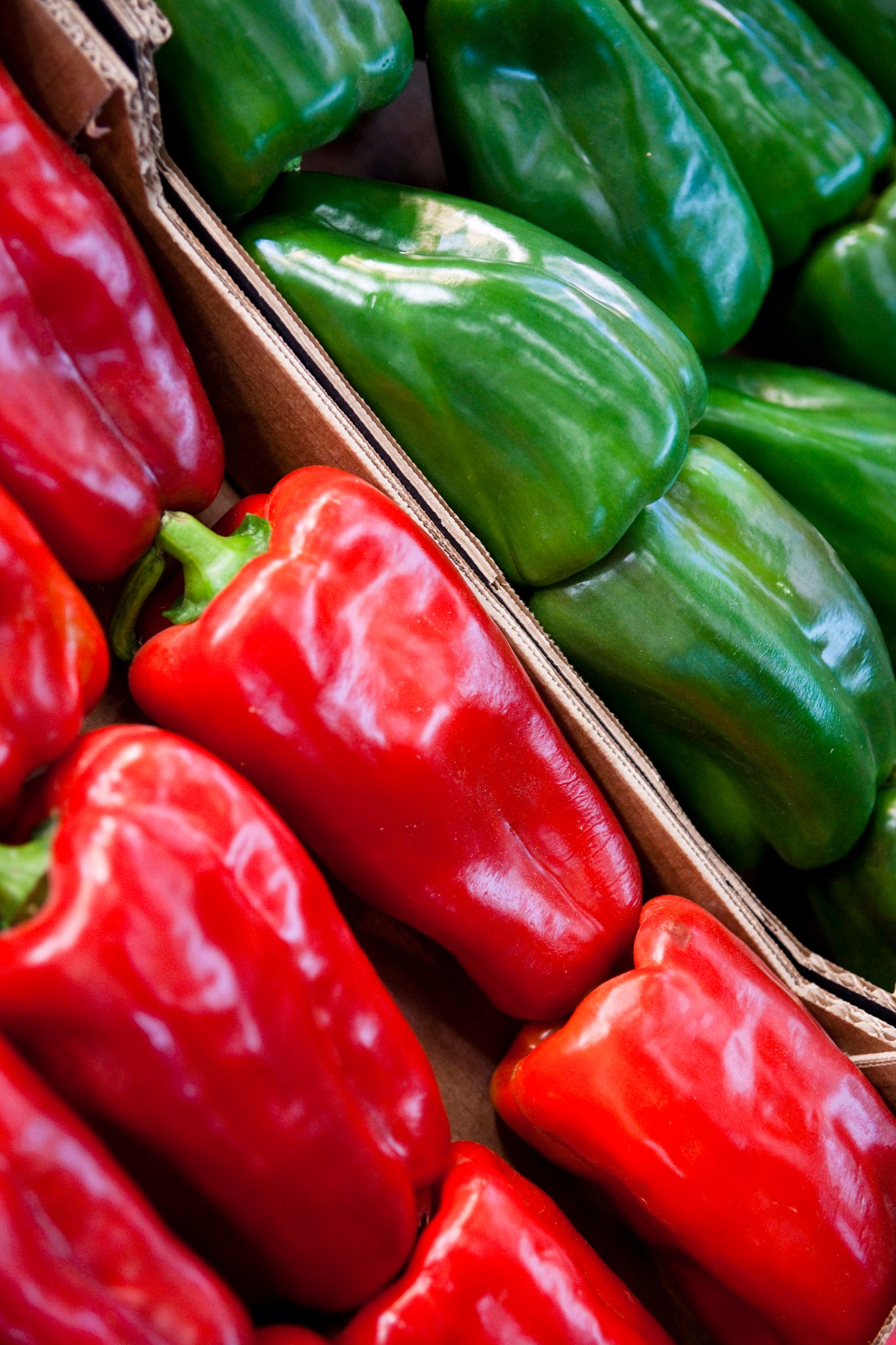 EssSense Ernährungskonzept