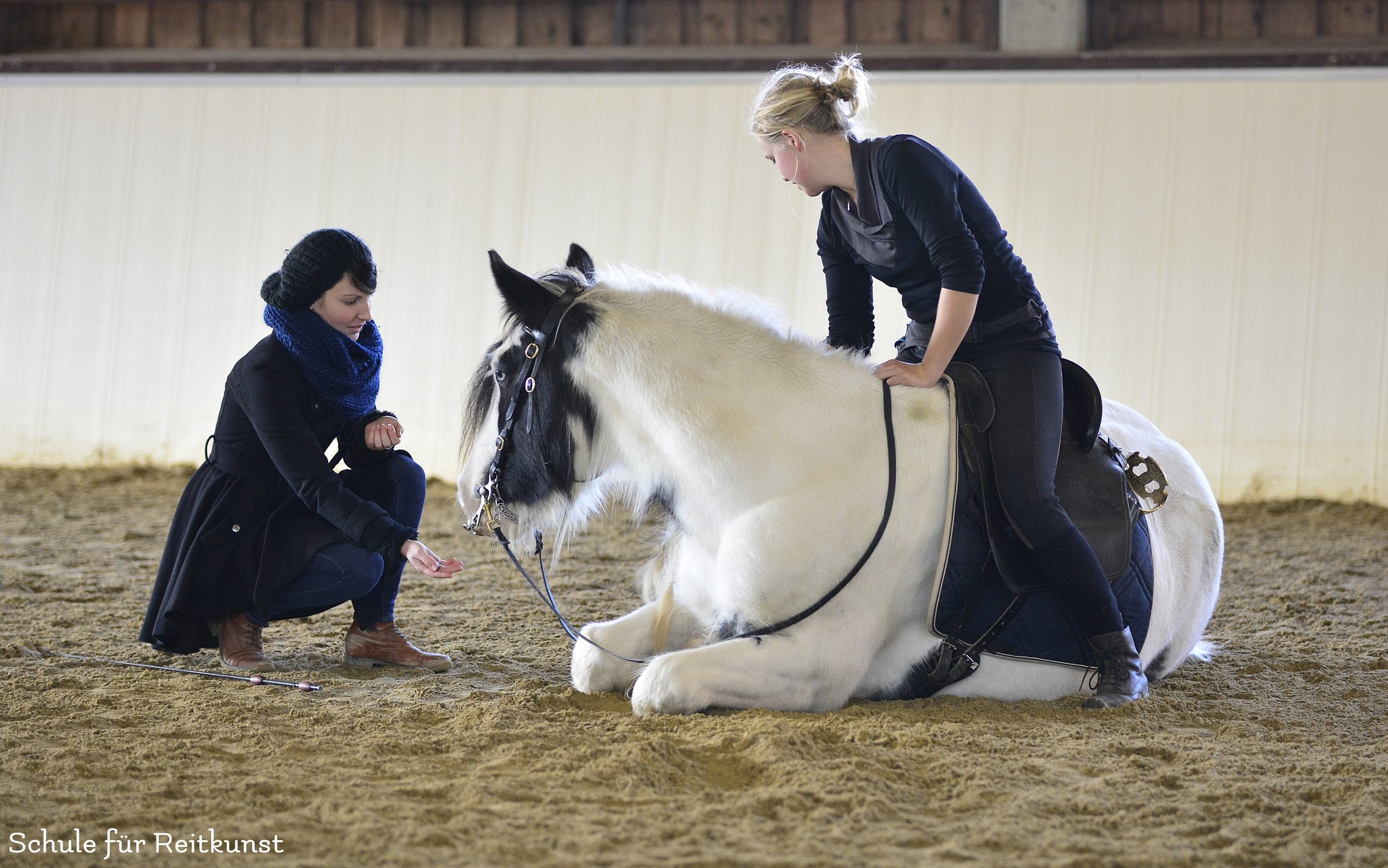 Samstags-Training in der Schule für Reitkunst