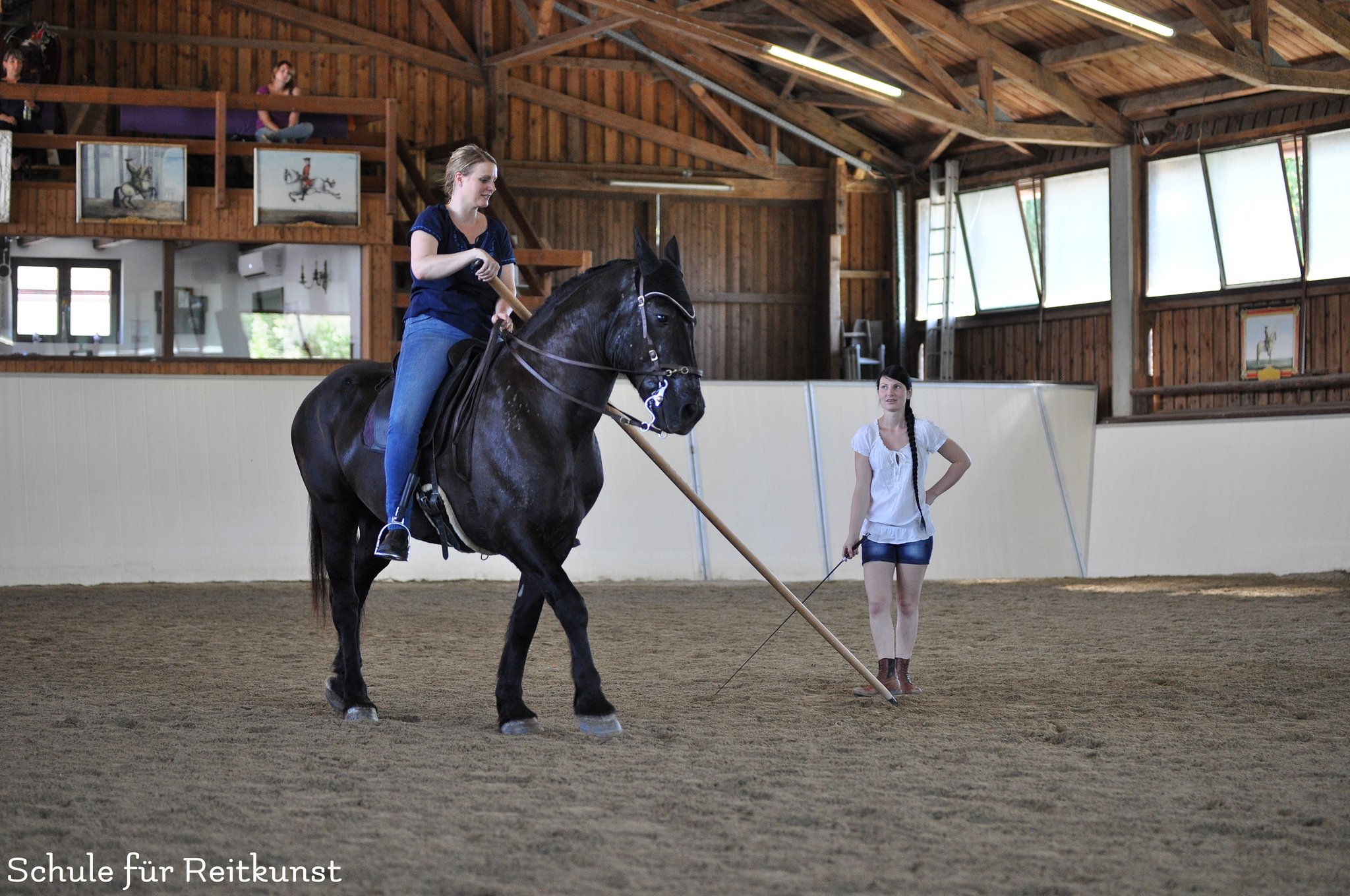Samstags-Training in der Schule für Reitkunst