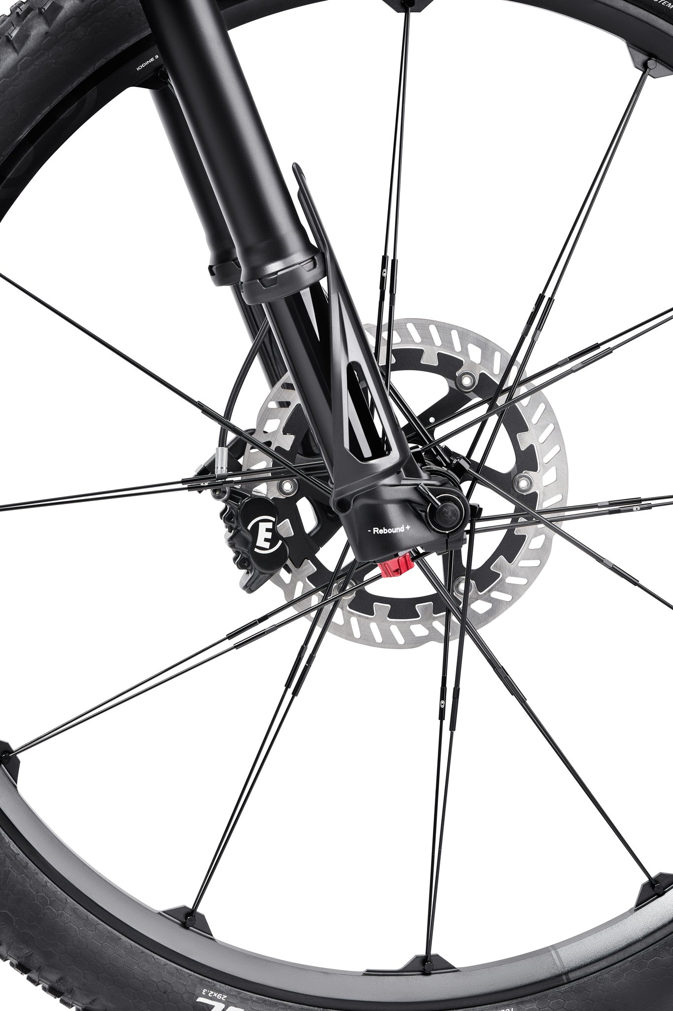 Porsche eBike CROSS Magura Gabel