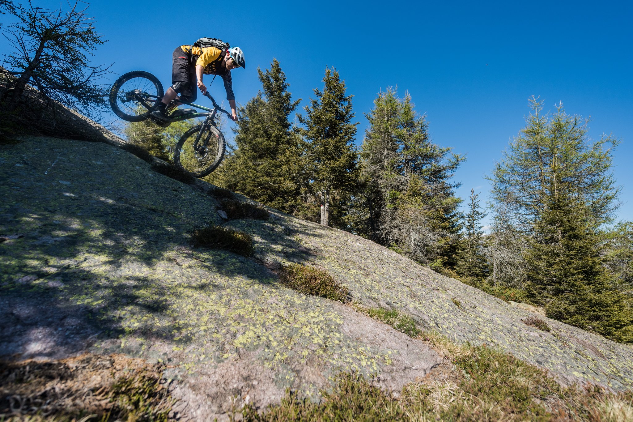 Eine gelungene Premiere der SHIMANO E — MOUNTAINBIKE Experience / ©Harald Wisthaler