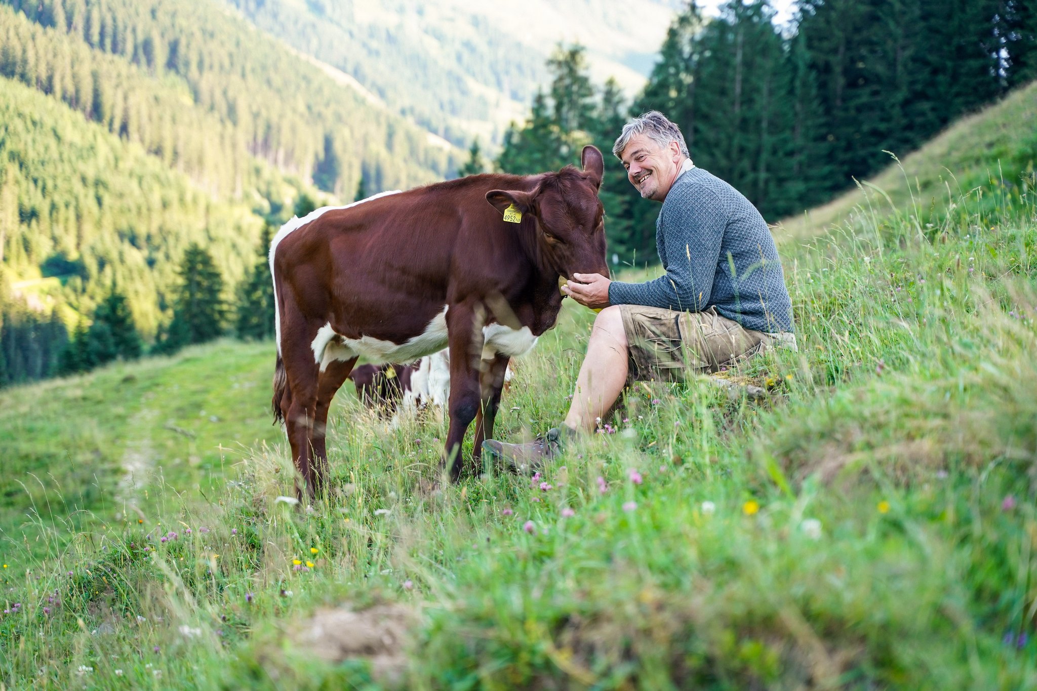 Der Unterschwarzachhof ab 19. Juni mit neuem Reitstall, Reitstüberl sowie Reitplatz. ©www.unterschwarzach.at