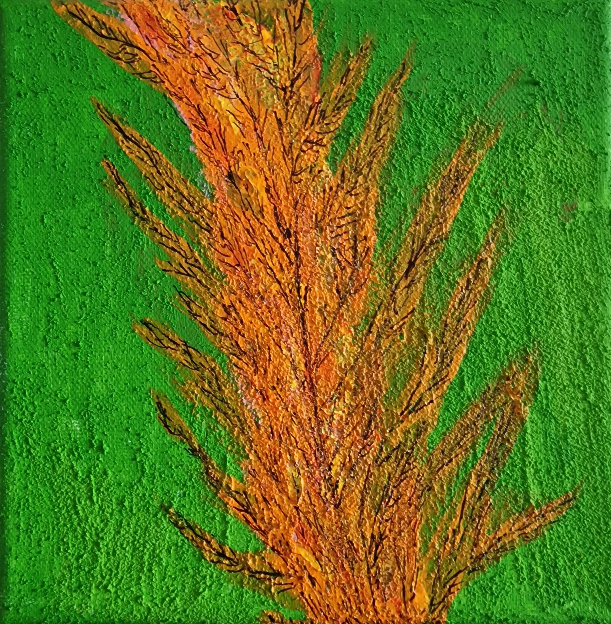 Bild Nr. 398, Format 20/20, Blüte, Fr. 80.00