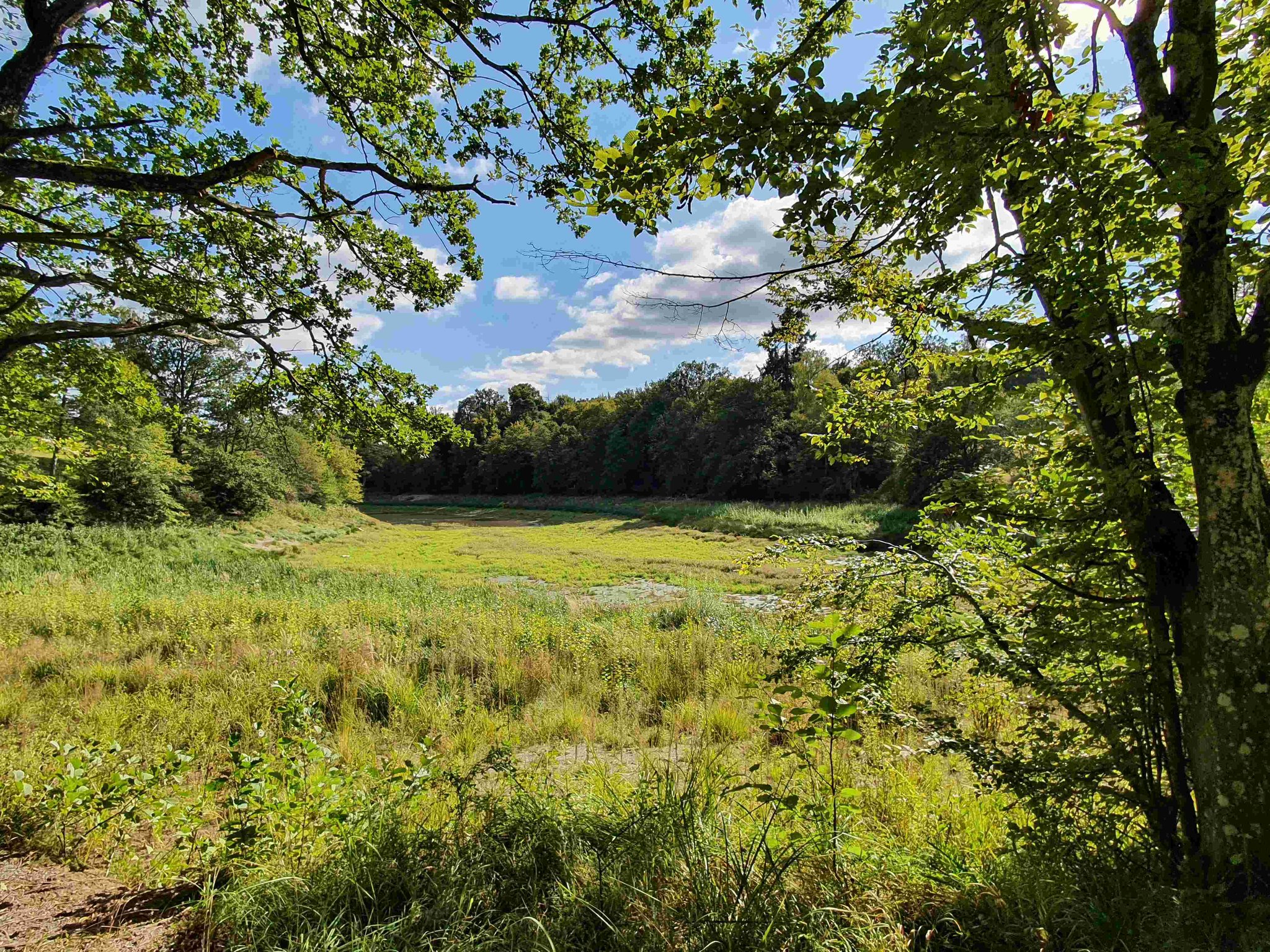 Bärensee, wegen Sanierungsarbeiten am Damm fast ohne Wasser, Foto H.G.
