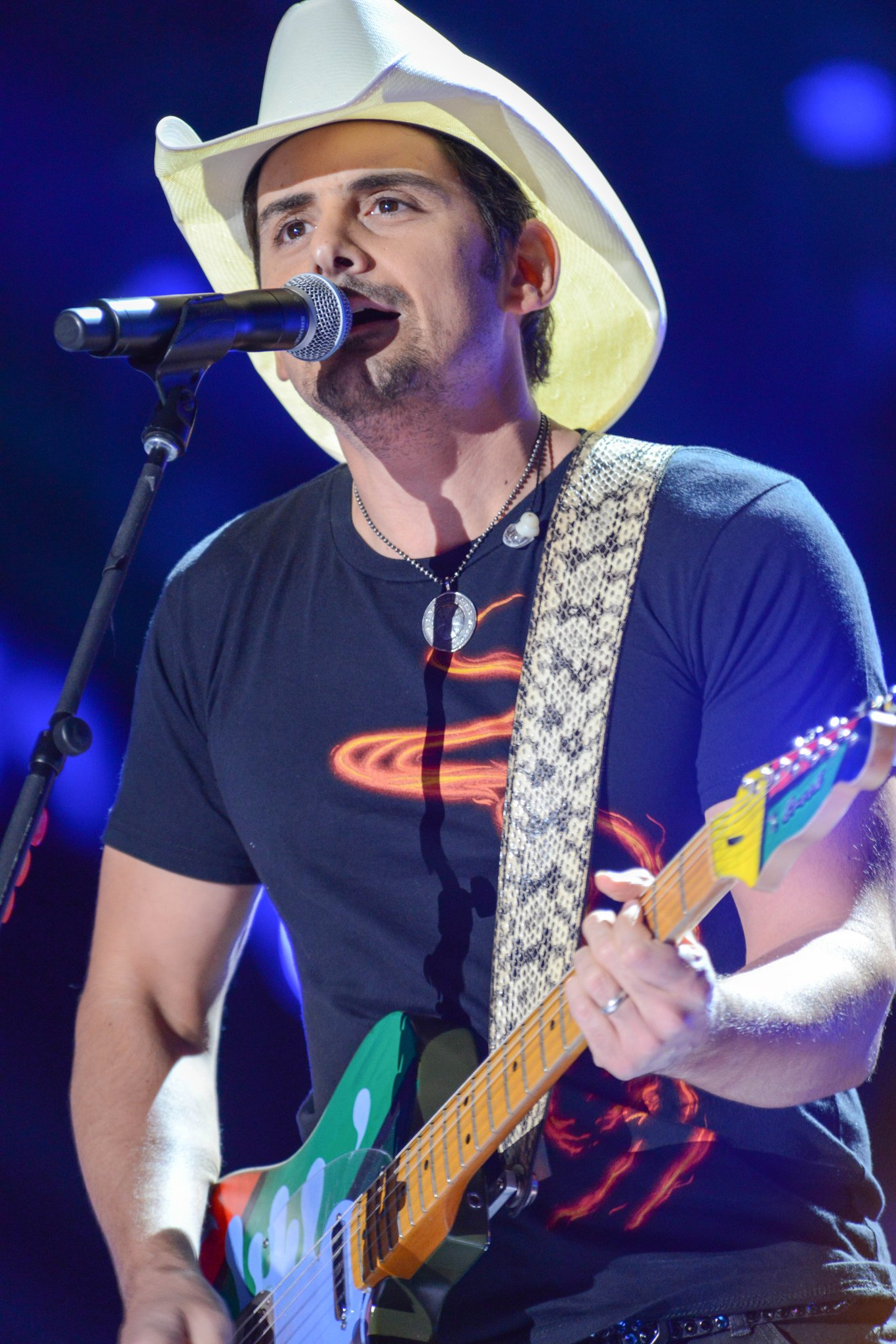 Brad Paisley