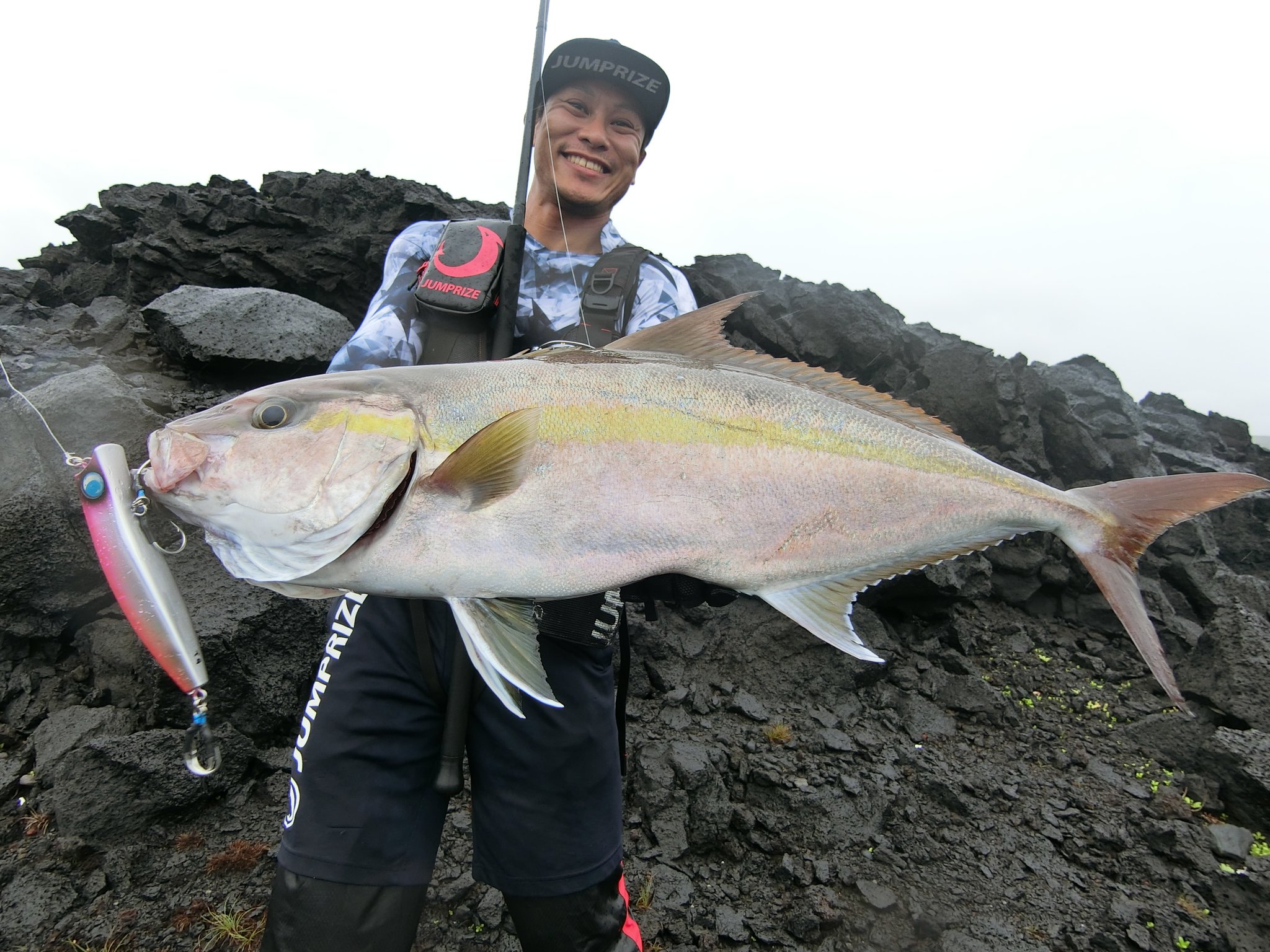 ロックショア：カンパチ