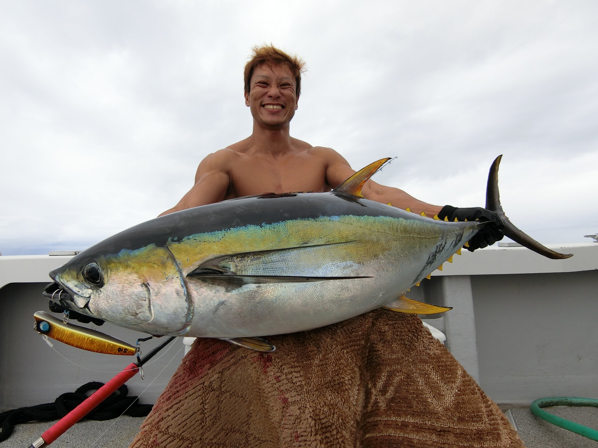 オフショア：キハダマグロ