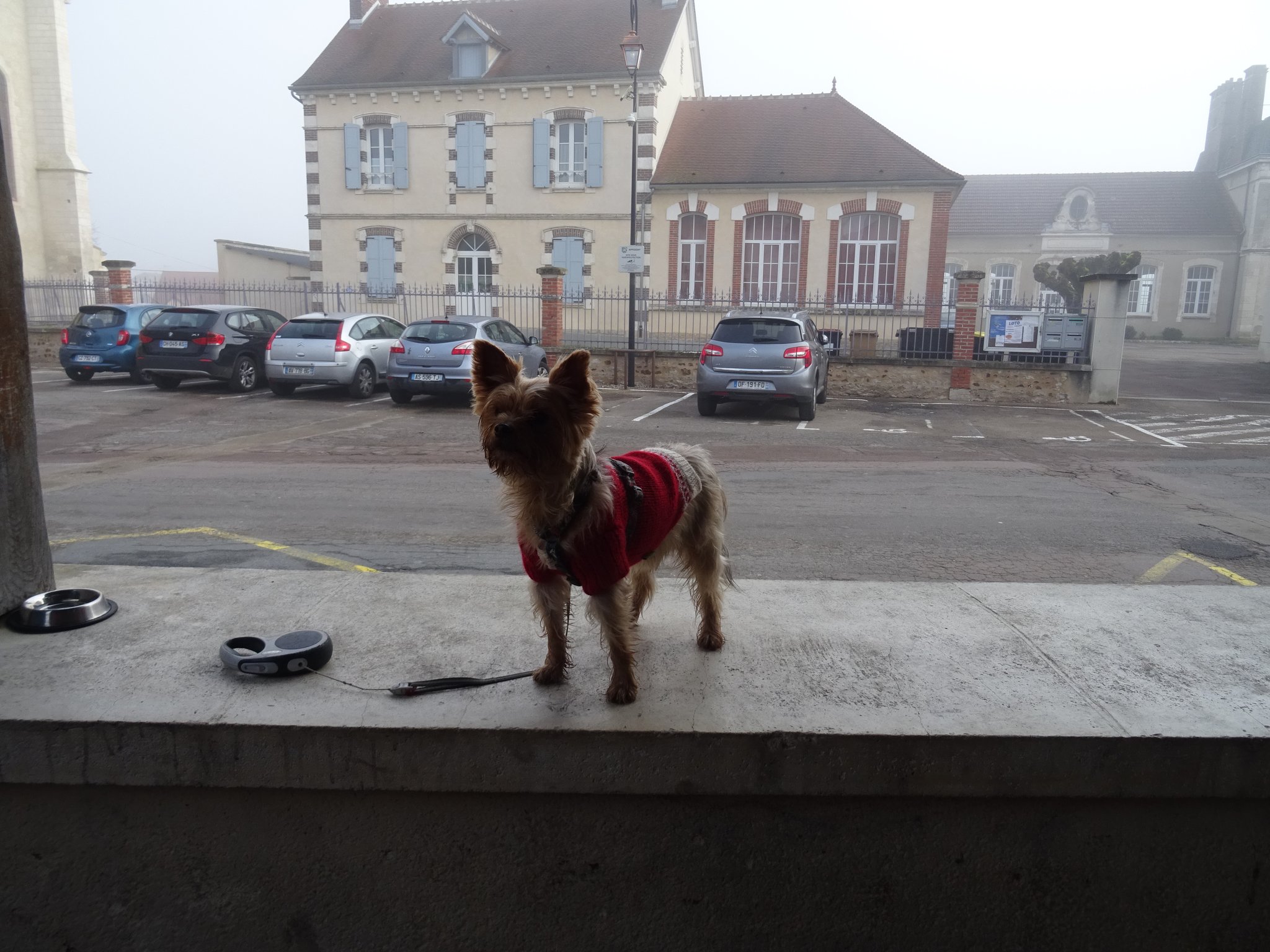 Prochaine marche le 16 fevrier