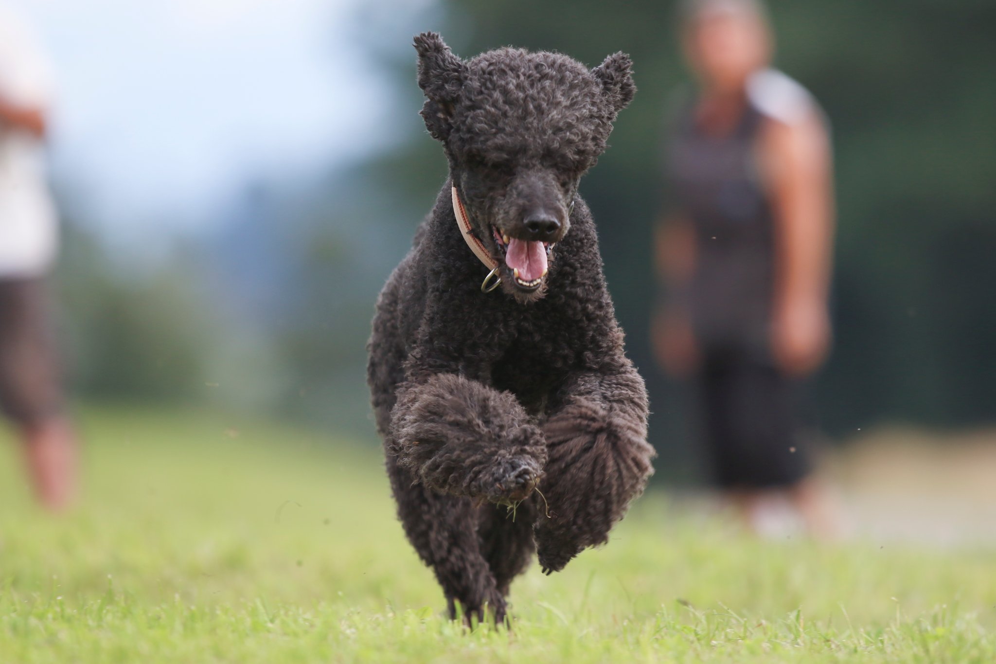 Training | Montag, 6.8.2019