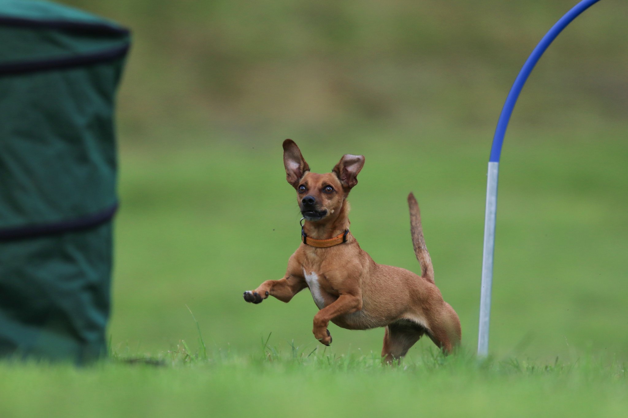 Training | Montag, 6.8.2019
