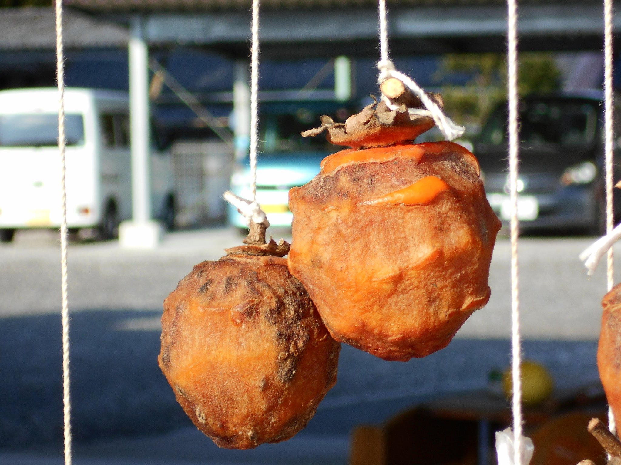 干し柿を作ったり