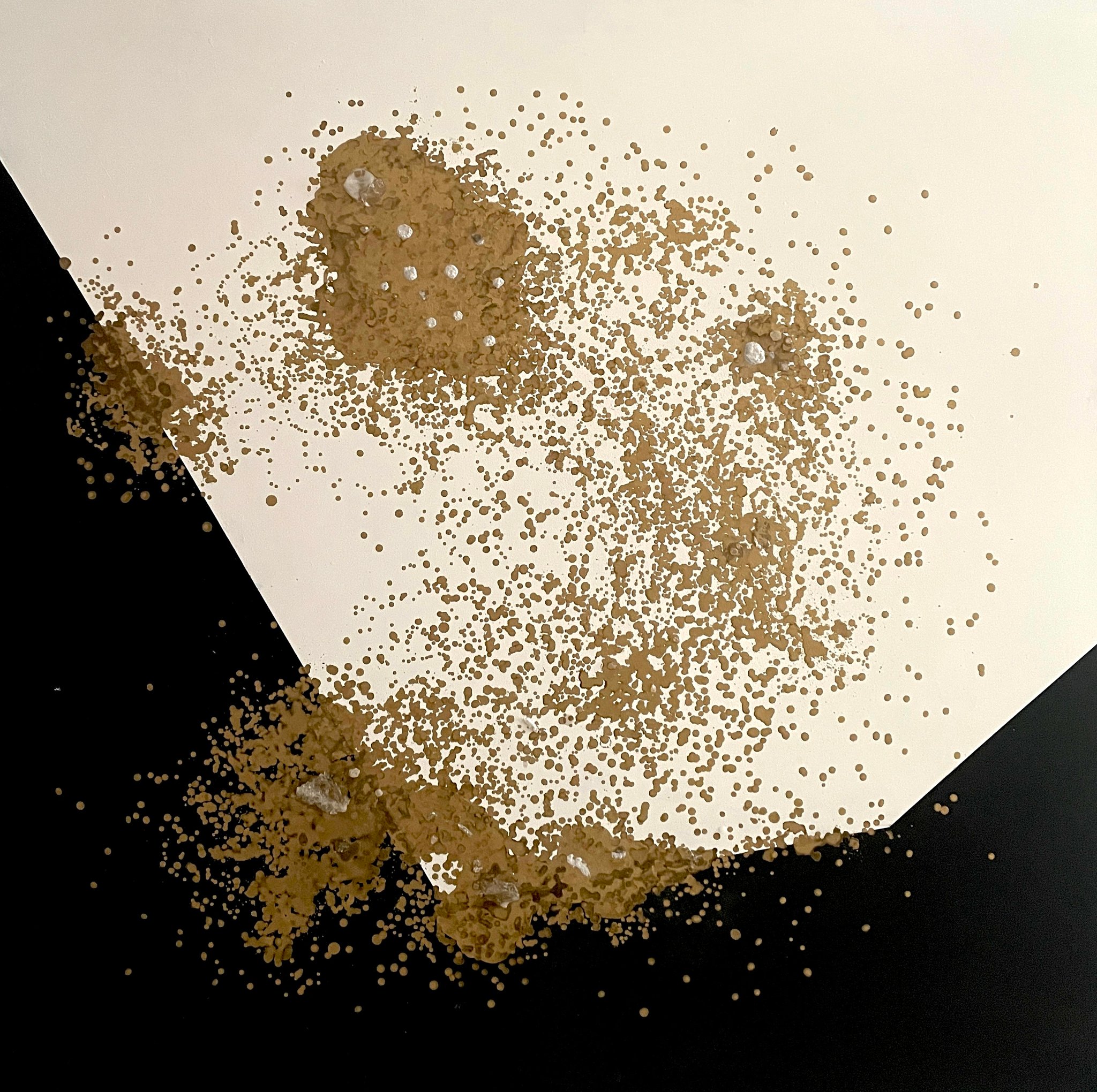 ARANGO GARFIAS / PASCUAL CASAUX