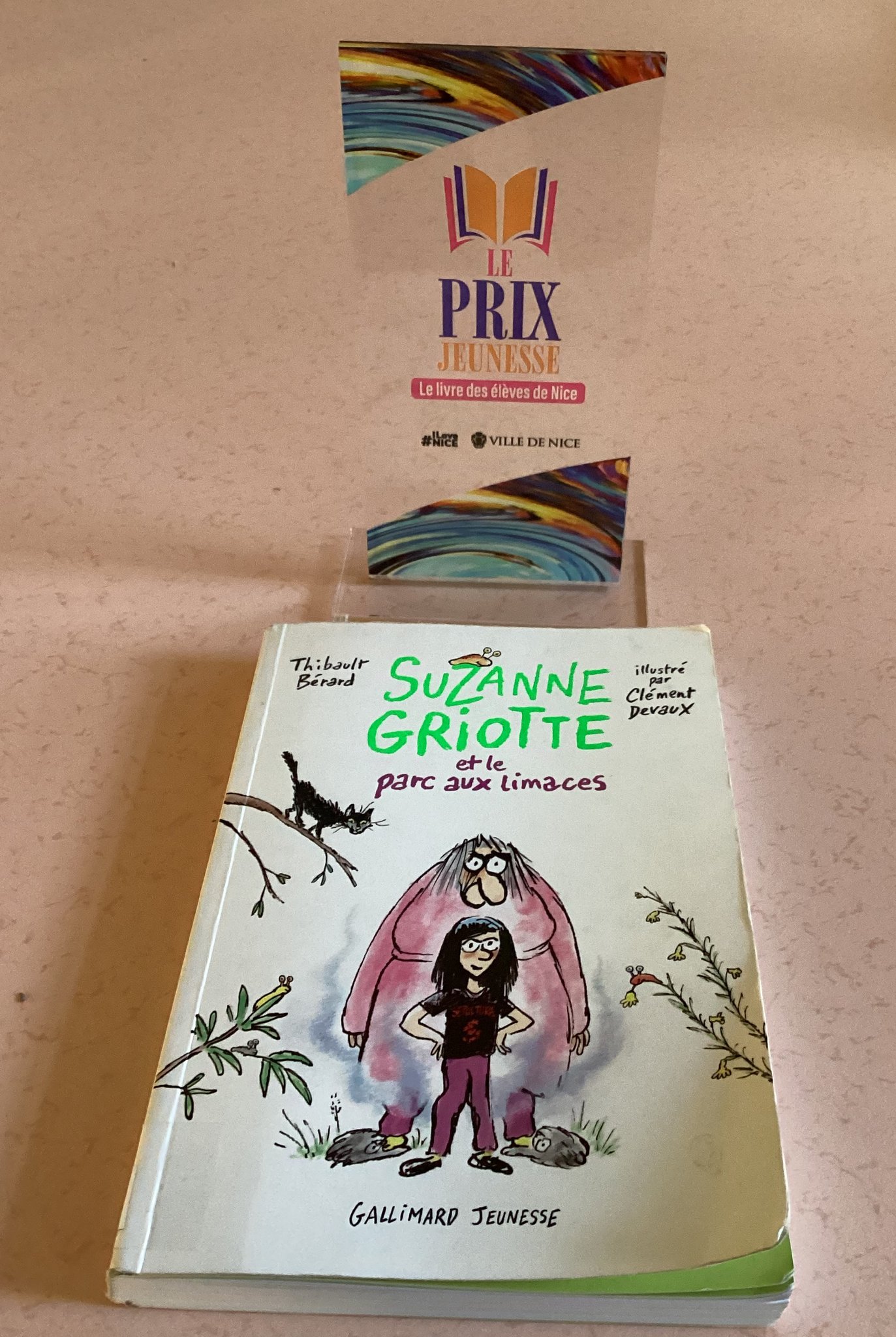 Le livre vainqueur du Prix Jeunesse : le livre des élèves de Nice 2024