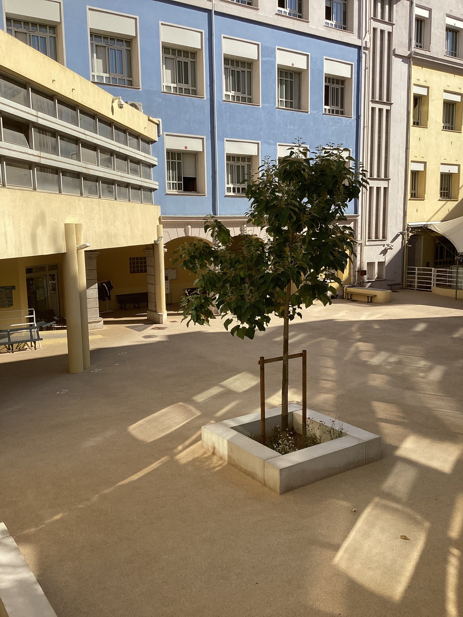 Cour de récréation