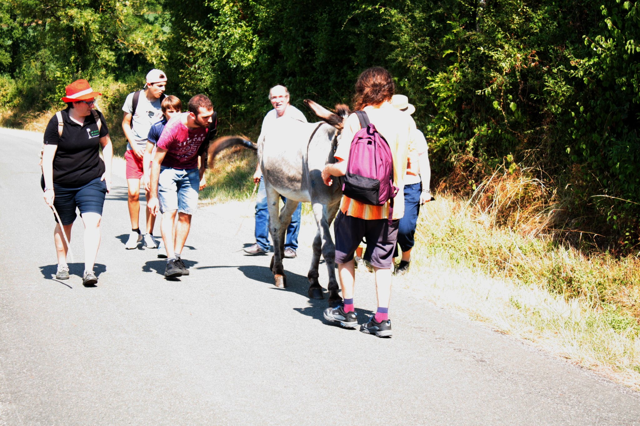 Dim. 5 août 2018 : de Lacapelle-Livron à Salvagnac