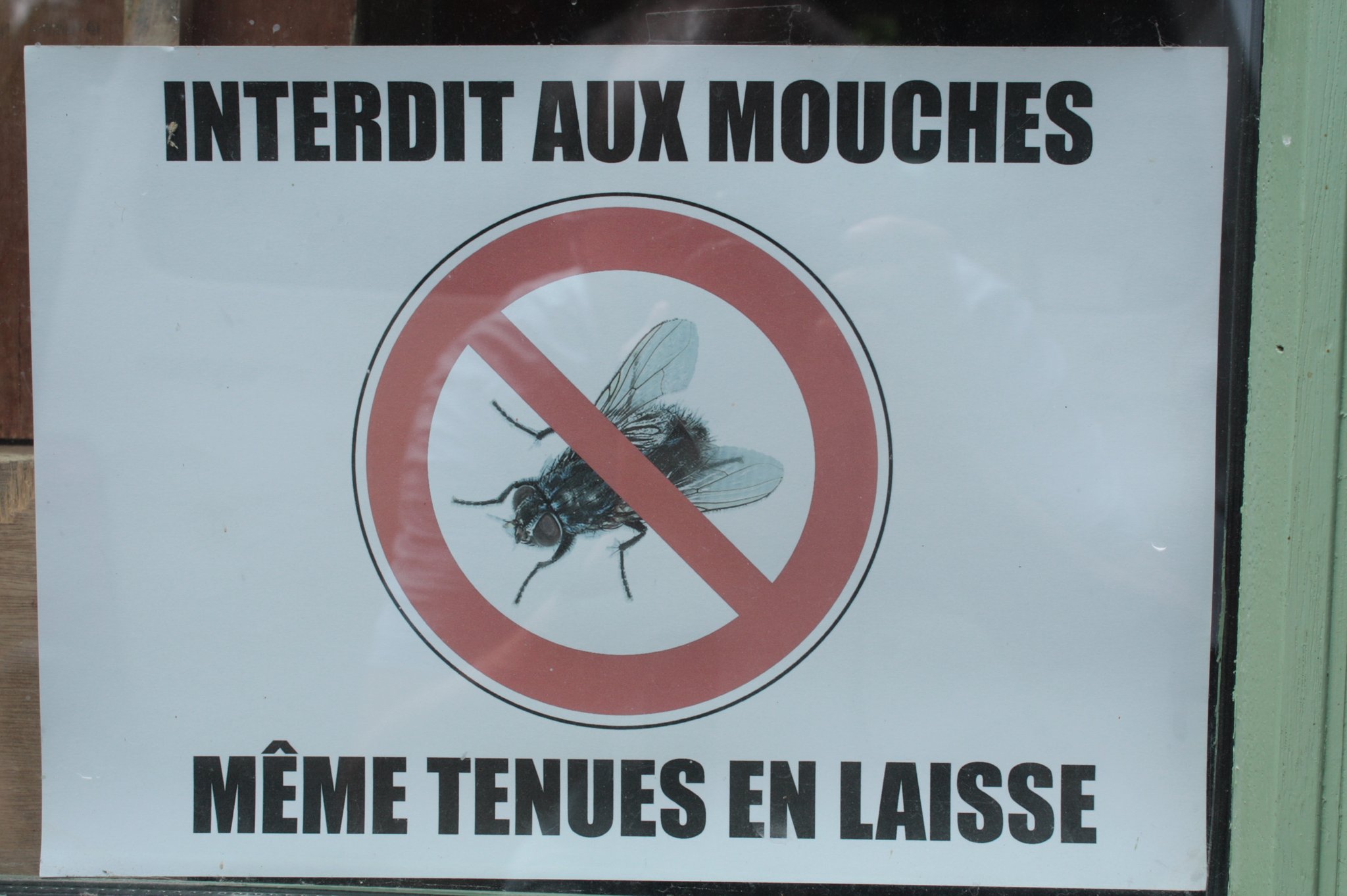 Mer. 8 août 2018 : de Parisot au Cuzoul. Visite de la boulangerie de Causseviel